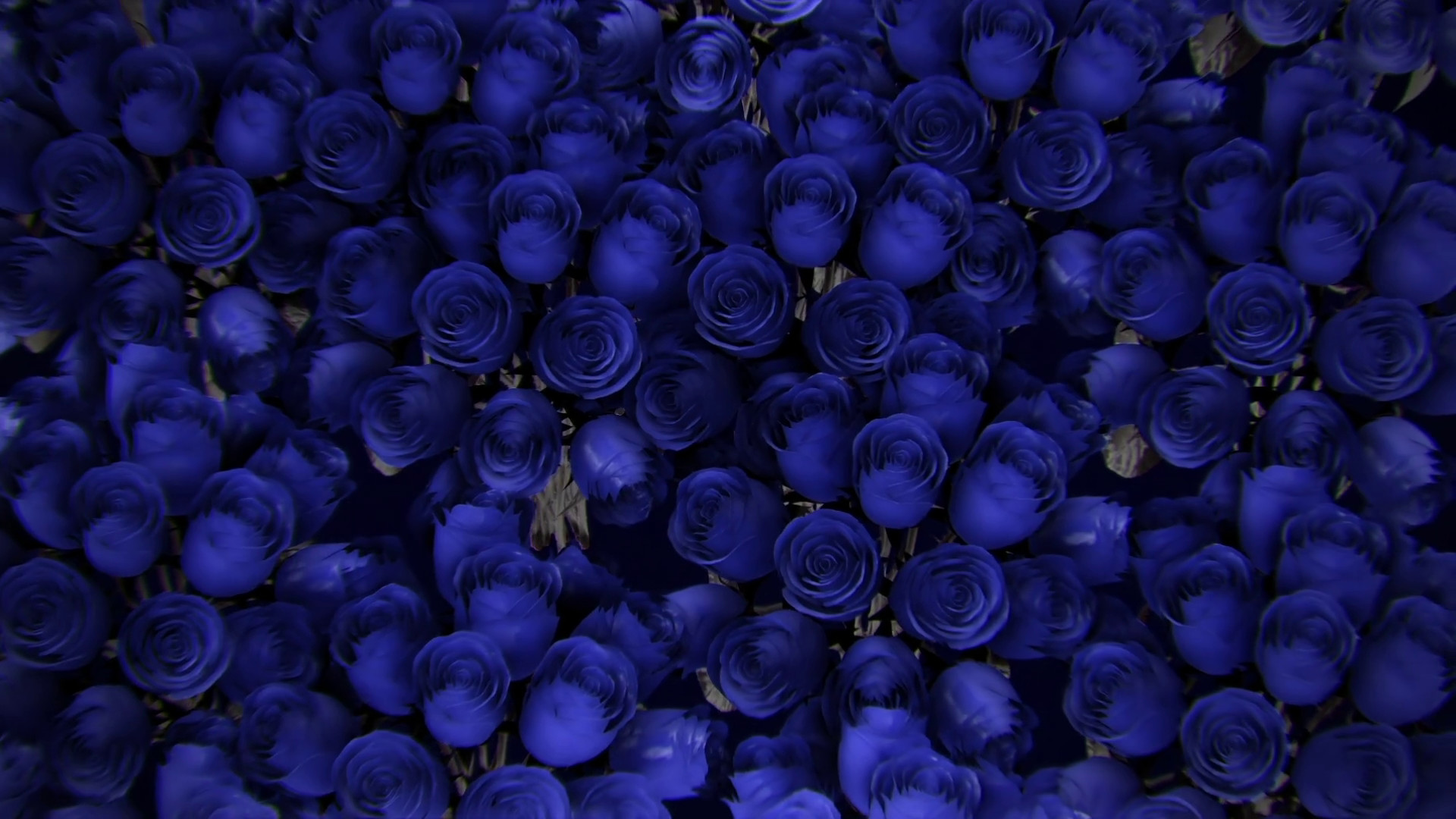 1920x1080 Background from a variety of blue roses Motion Background - VideoBlocks