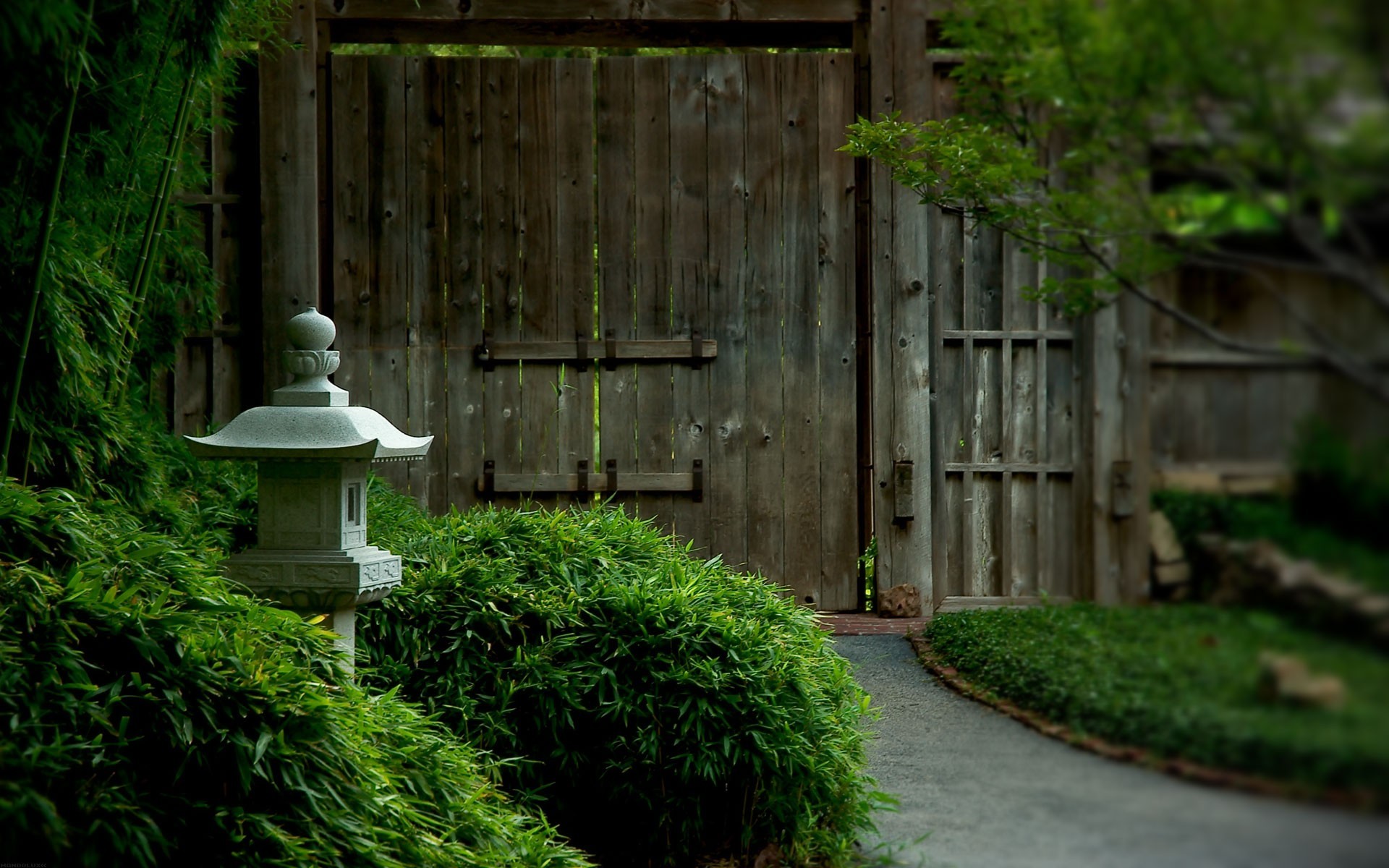 1920x1200 #park, #nature, #Japan, #temple, #Japanese Garden, #wood, #plants wallpaper