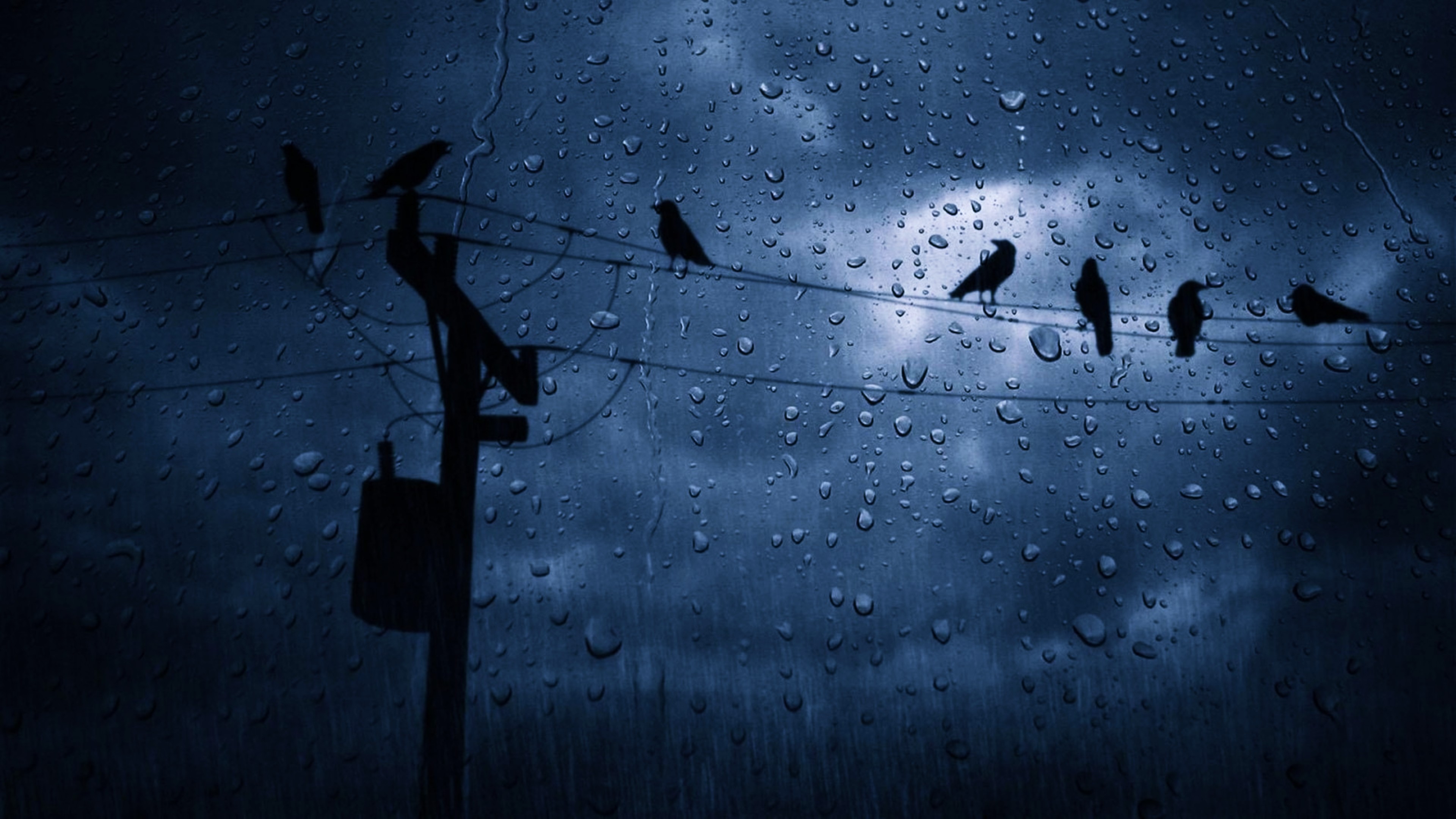 3840x2160 Photography - Water Drop Sky Dark Cloud Bird Rain Wallpaper