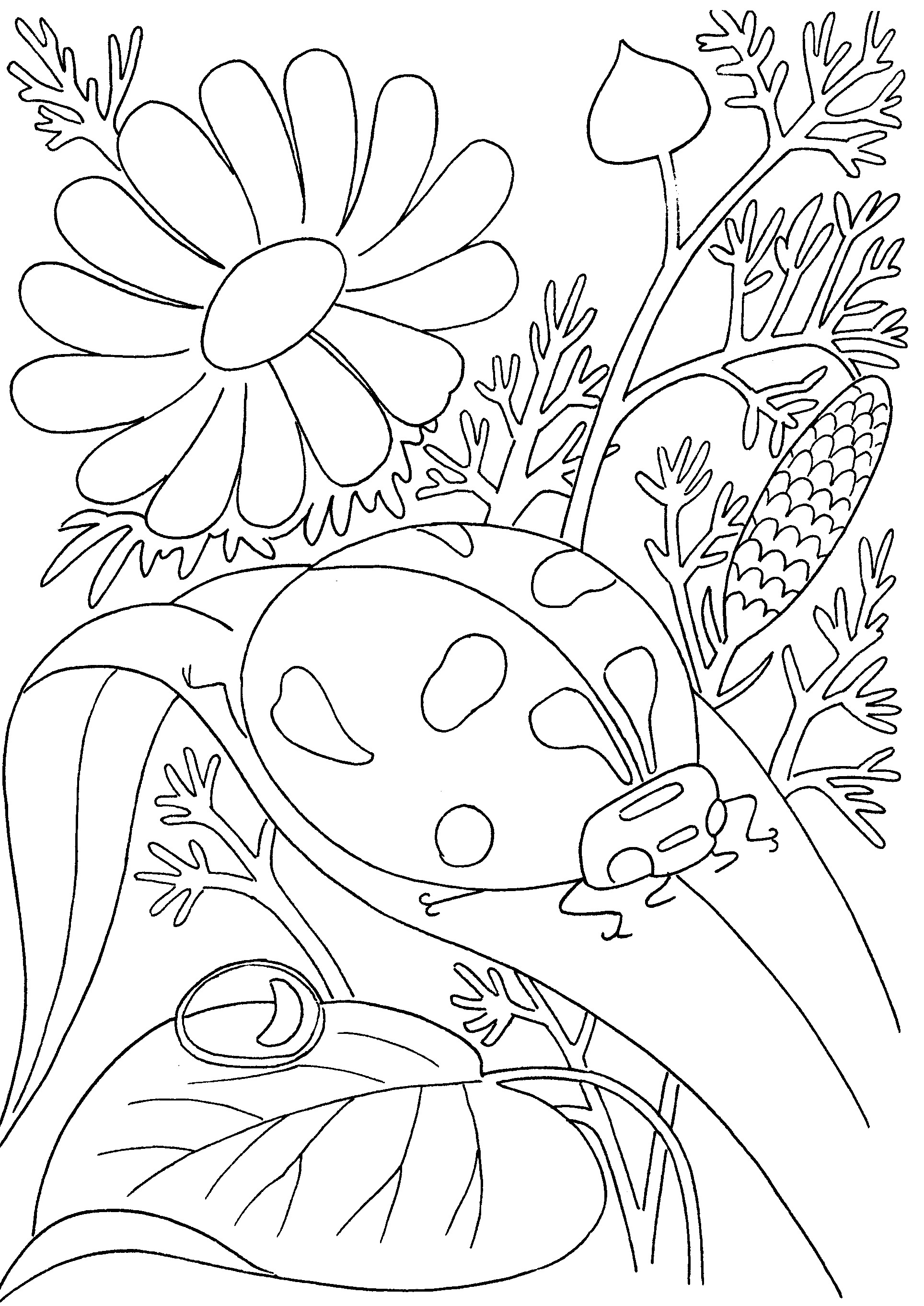 1928x2726 Inspirational Kids Coloring Pages Pdf 78 For Your Seasonal Colouring Pages  With Kids Coloring Pages Pdf
