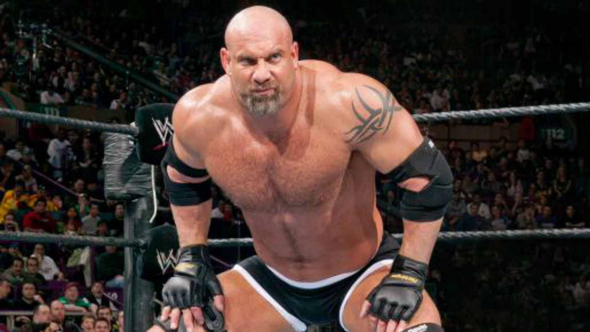 1920x1080 WWE Survivor Series: Can Goldberg cope with Brock Lesnar?