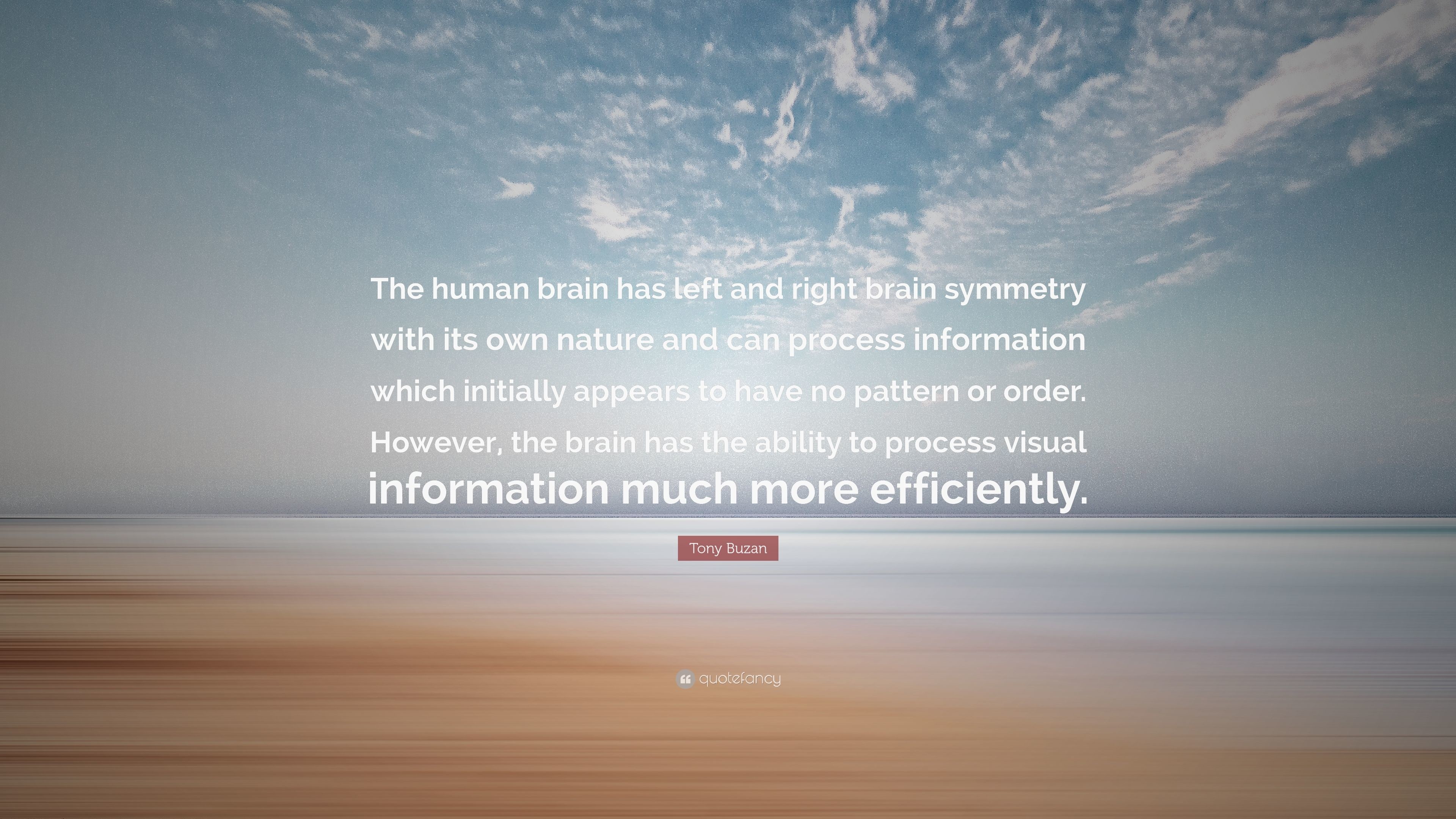 3840x2160 Tony Buzan Quote: “The human brain has left and right brain symmetry with  its