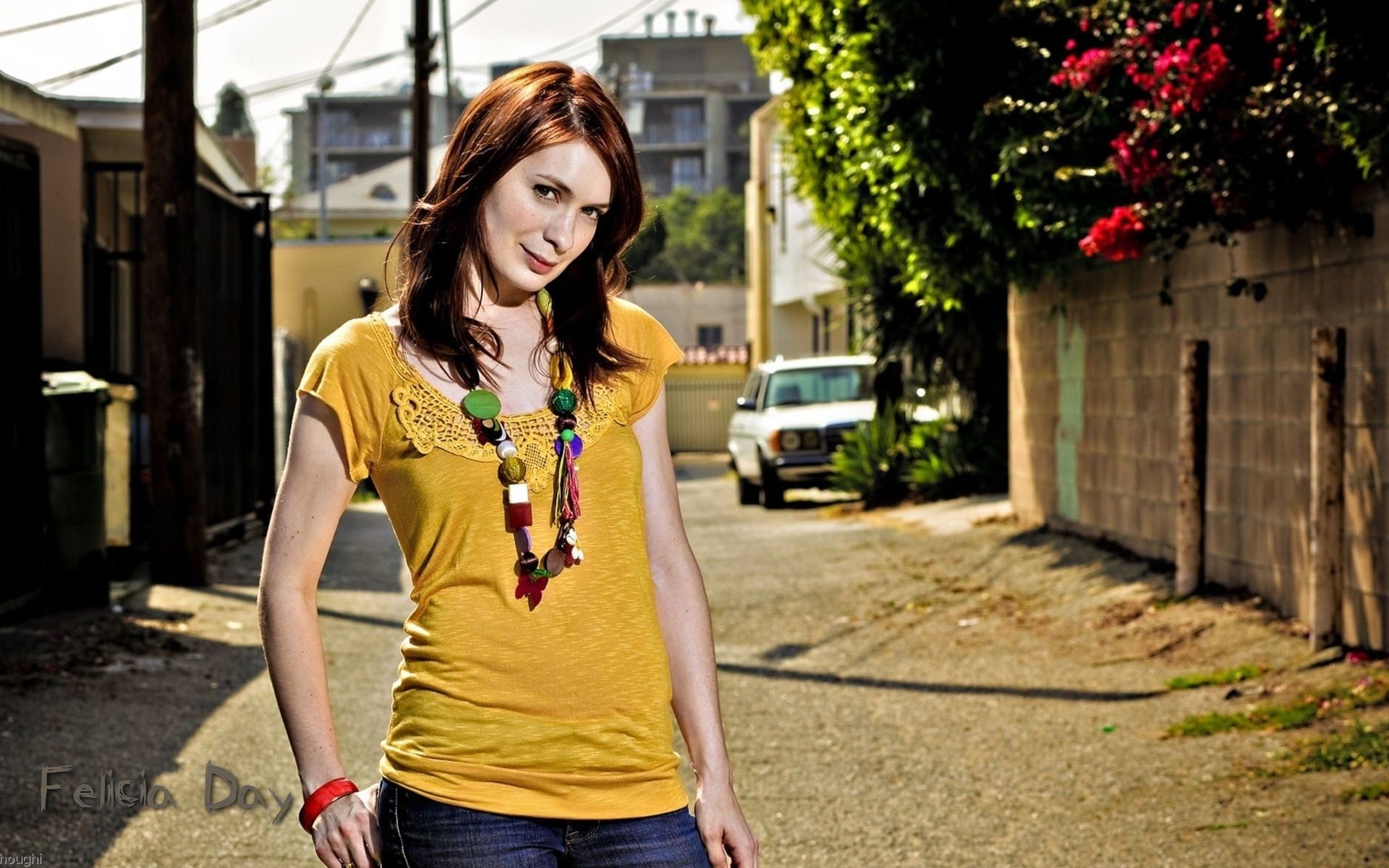 1920x1200 Felicia Day images Felicia Day Bui Brothers Wallpaper HD wallpaper and  background photos