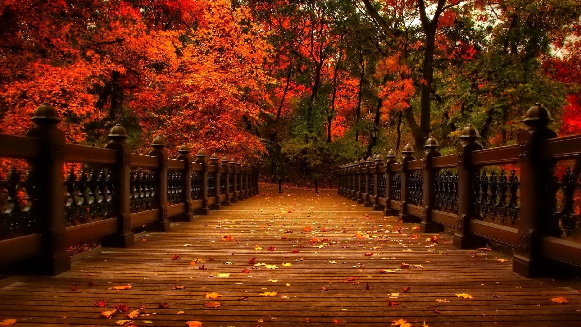 1920x1080 Alley Tag - Park Alley Nature Trees Walk View Leaves Autumn Wallpapers Of  For Laptop for