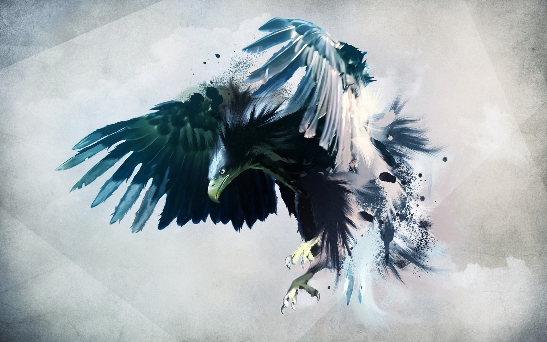 1920x1200 Bald Eagle HD Wallpapers Backgrounds Wallpaper