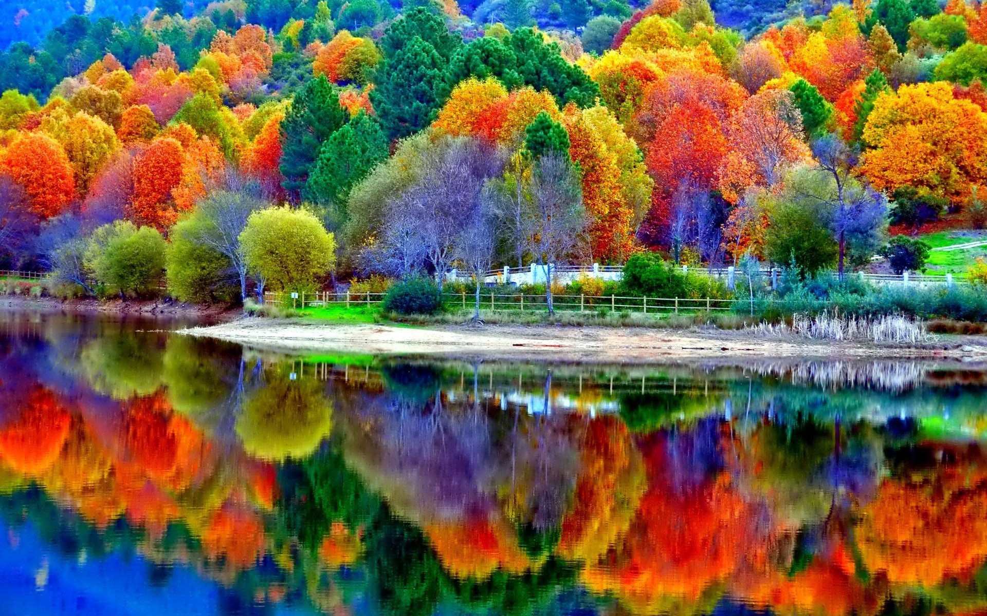 1920x1200 Beautiful Autumn Lake Scenery Wallpaper