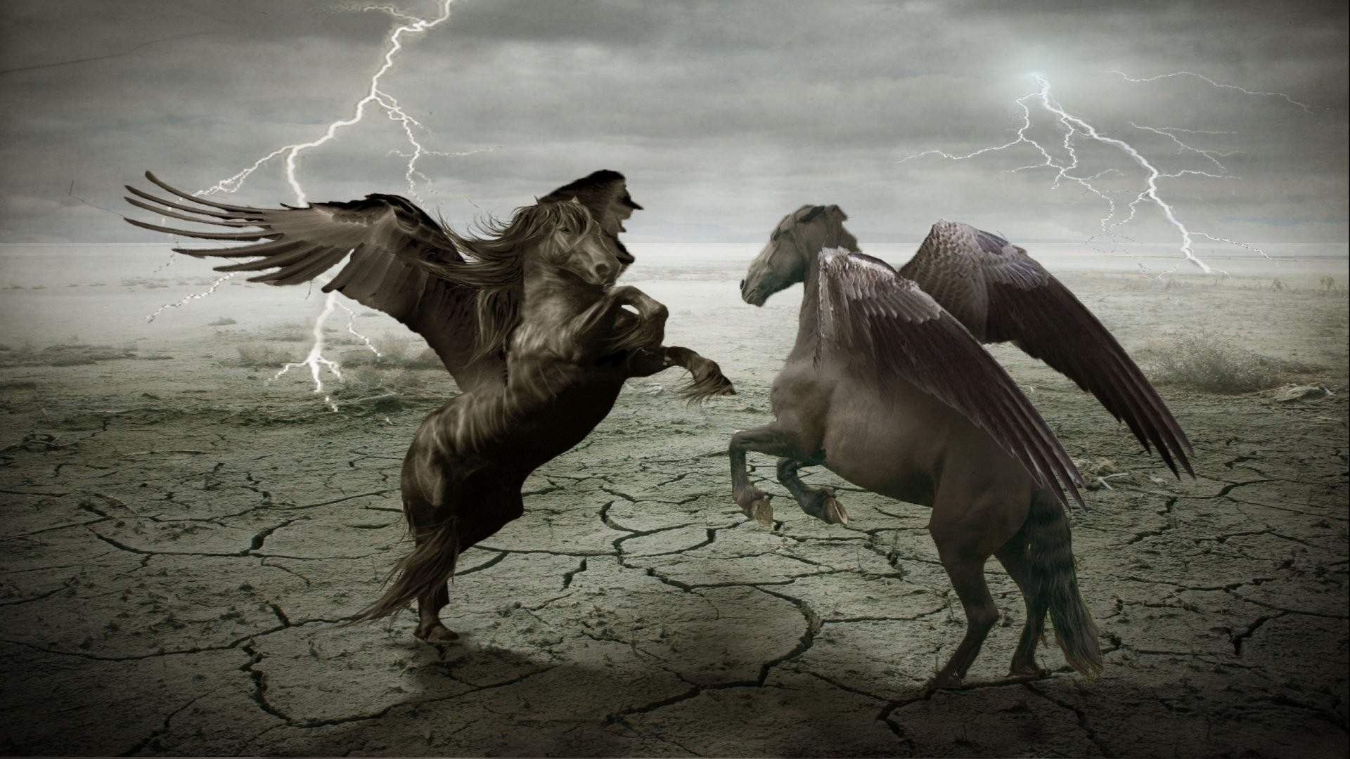 1920x1080 Fantasy pegasus horse animal art artistic artwork wallpaper |  |  667671 | WallpaperUP