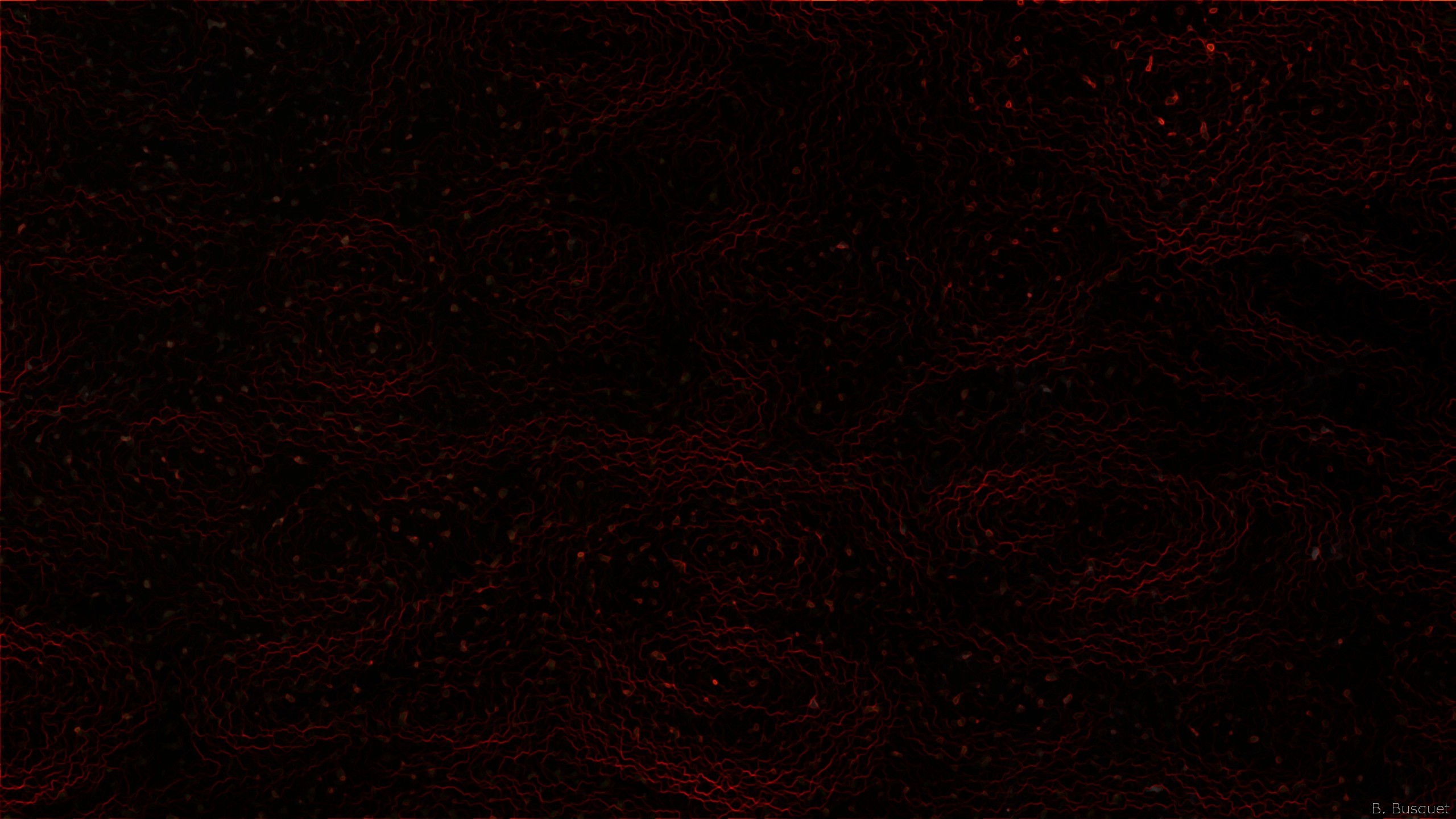 2560x1440 Abstract wallpaper with a dark pattern