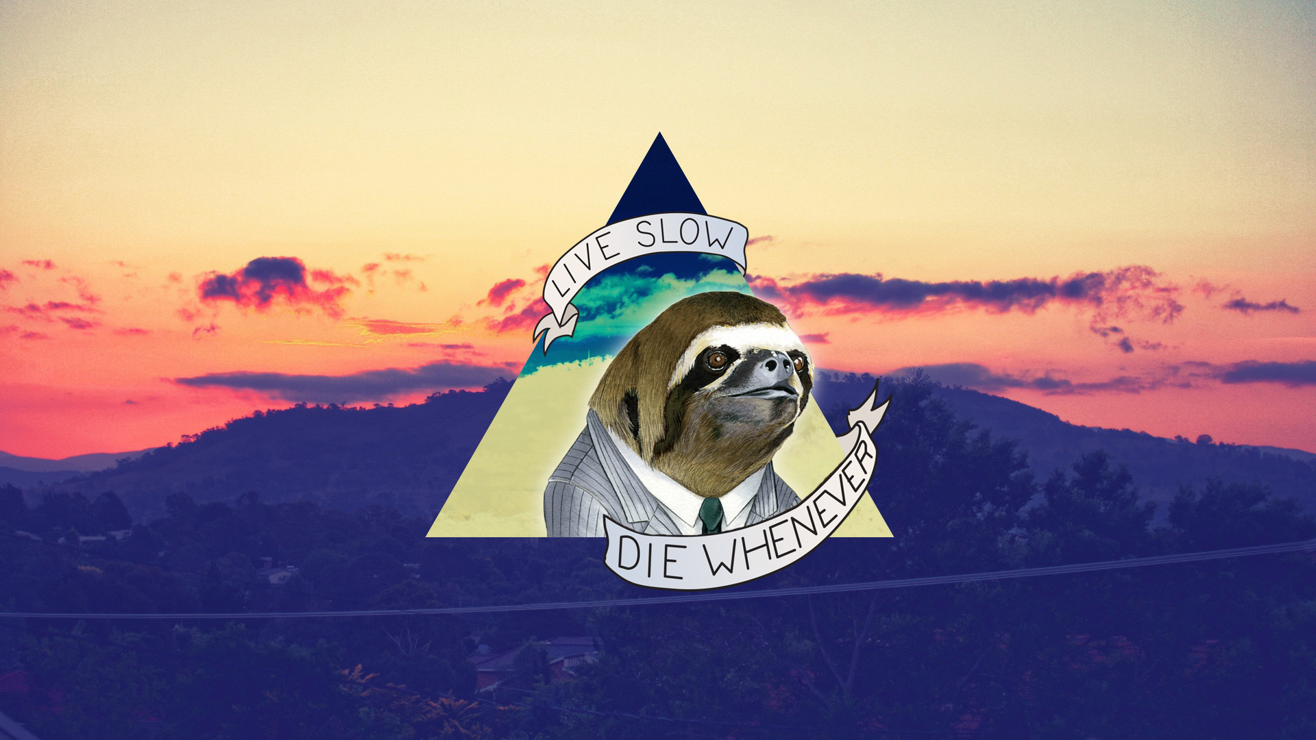 1920x1080 My collection of sloth wallpapers. Let me know if I'm missing any good  ones. : sloths