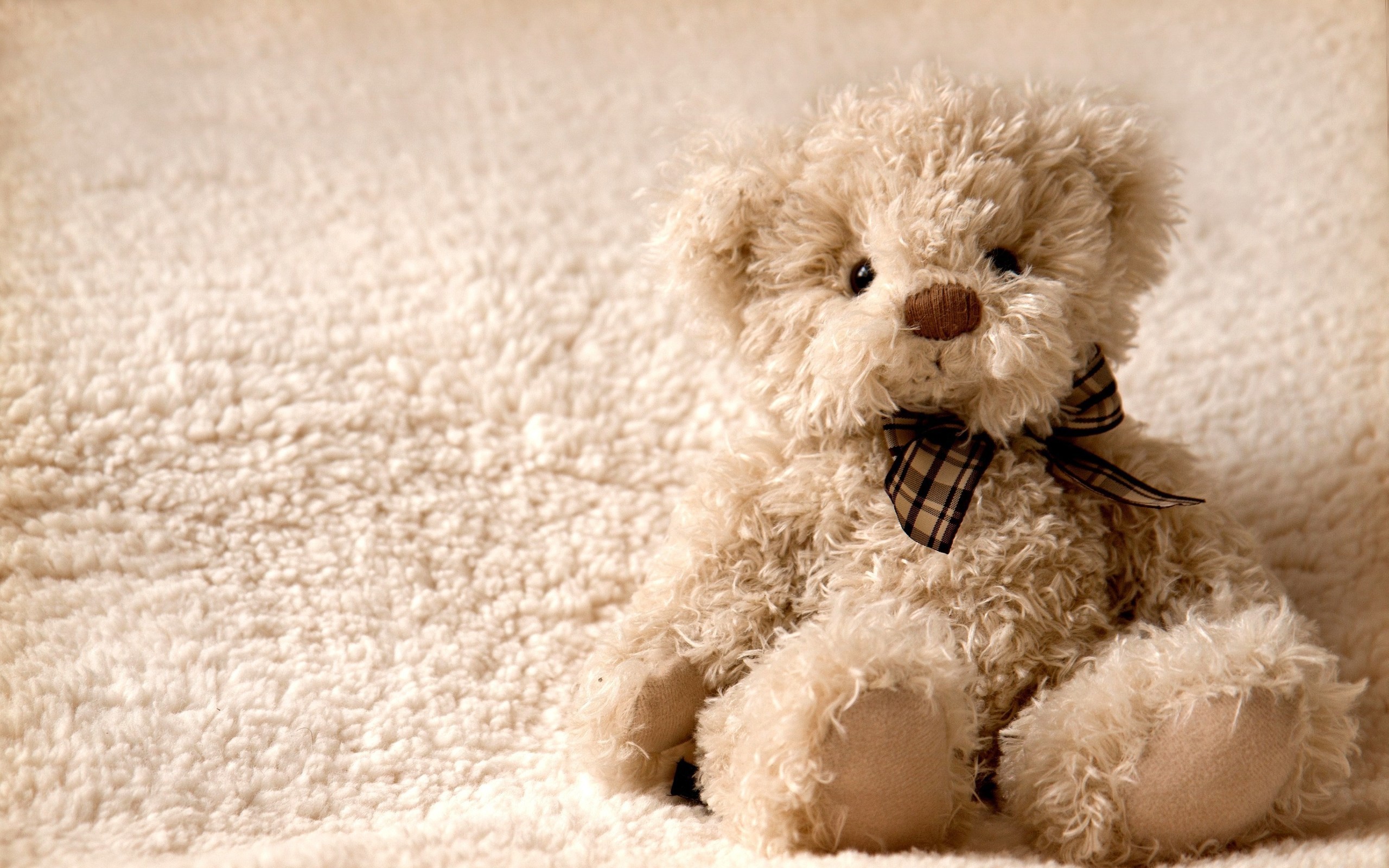 2560x1600 Fantastic Images Collection: Cute Teddy Bear Desktop Wallpapers