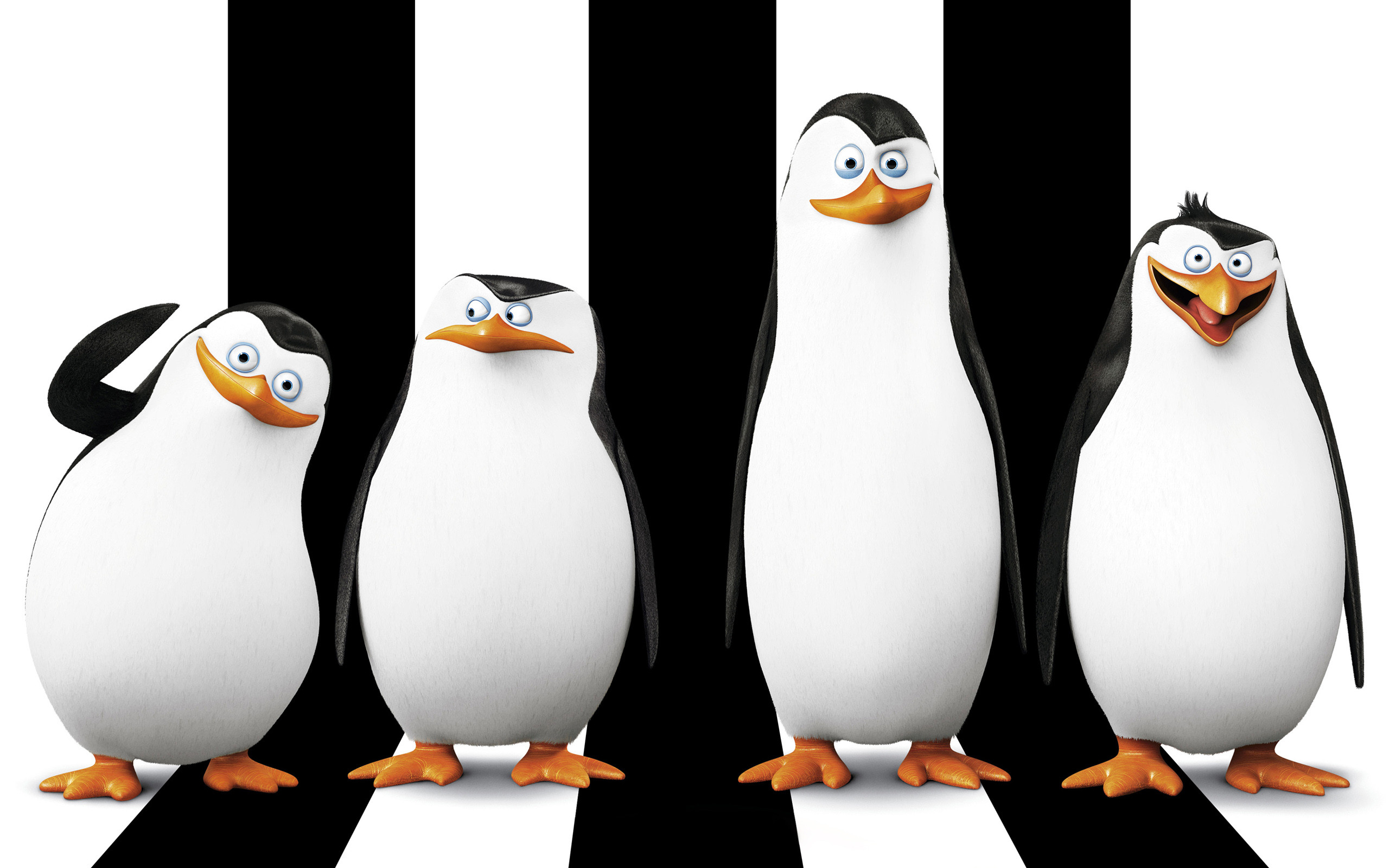 2560x1600 Penguins of Madagascar