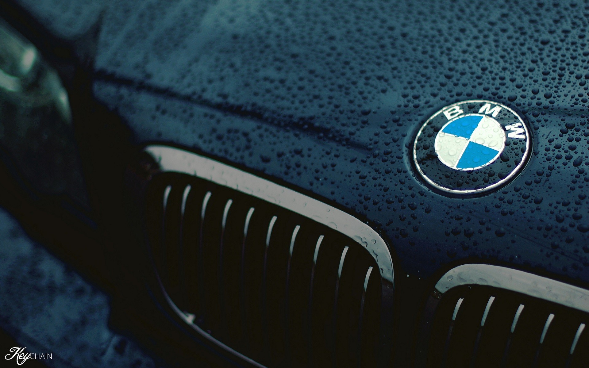 1920x1200  car, BMW, Closeup, Logo, Black, Water drops, Wet Wallpapers