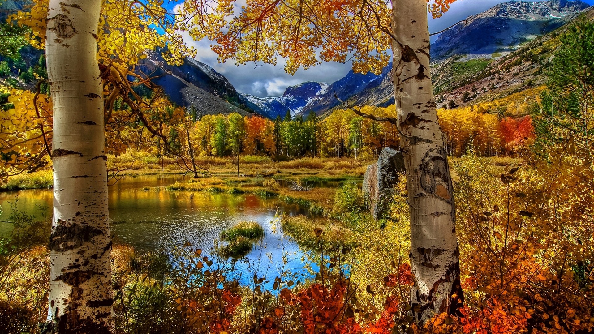 1920x1080 Preview wallpaper autumn, birch, color, paint, plants, pond, mountain,