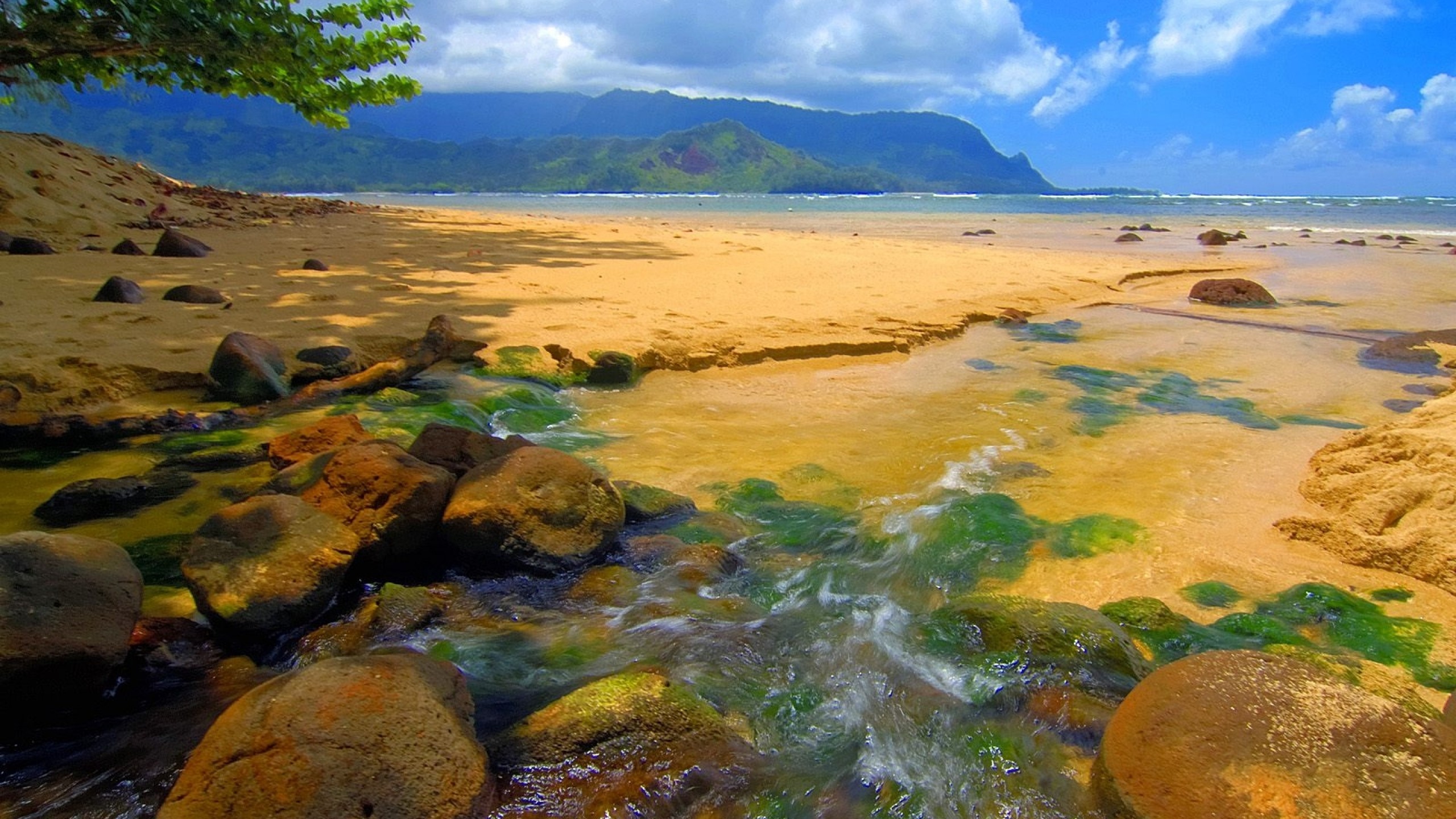 2560x1440 Preview wallpaper hawaii, day, sea, sand, stones 