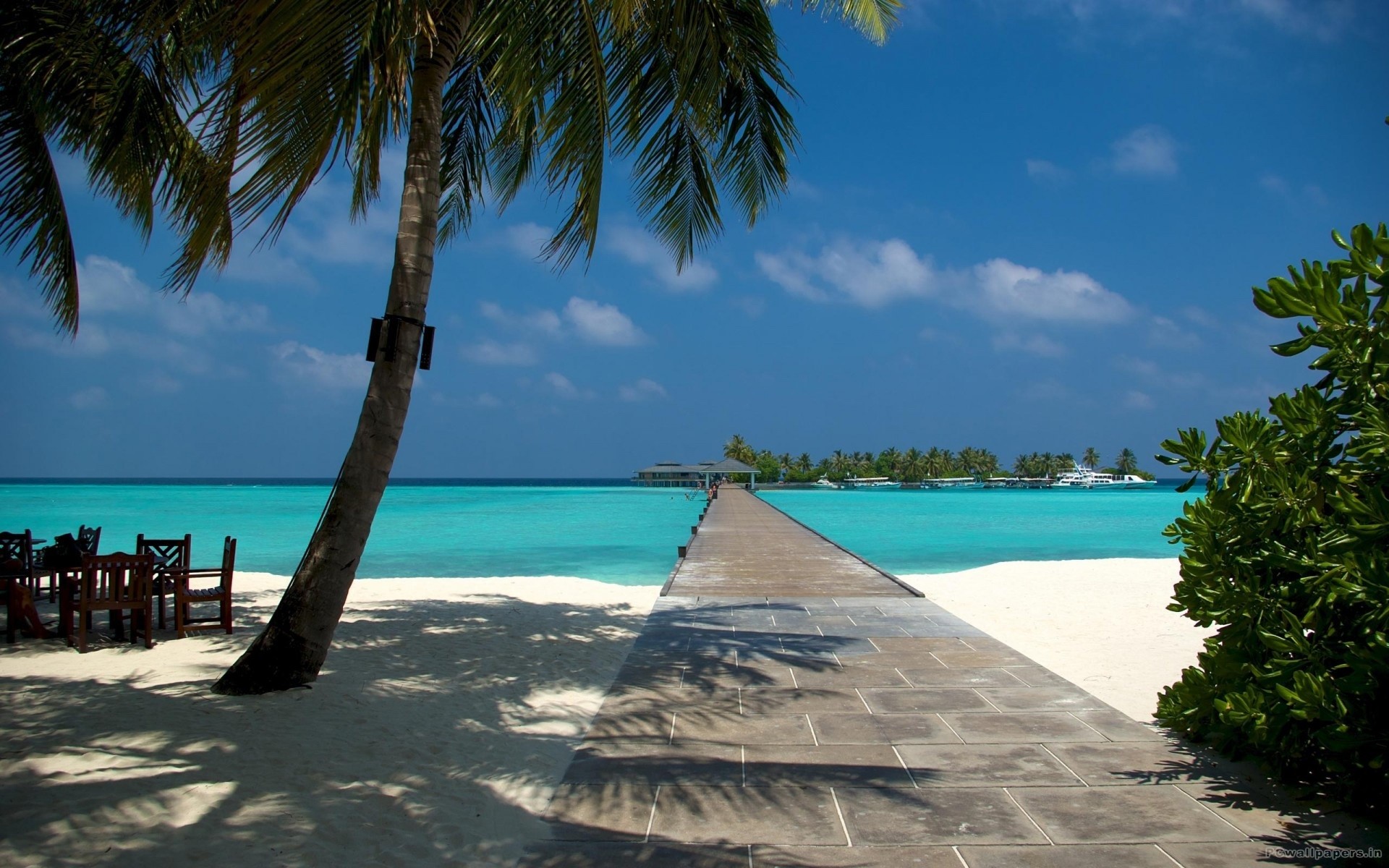 1920x1200 Beach Dock and Palm in Maldives wallpaper thumb