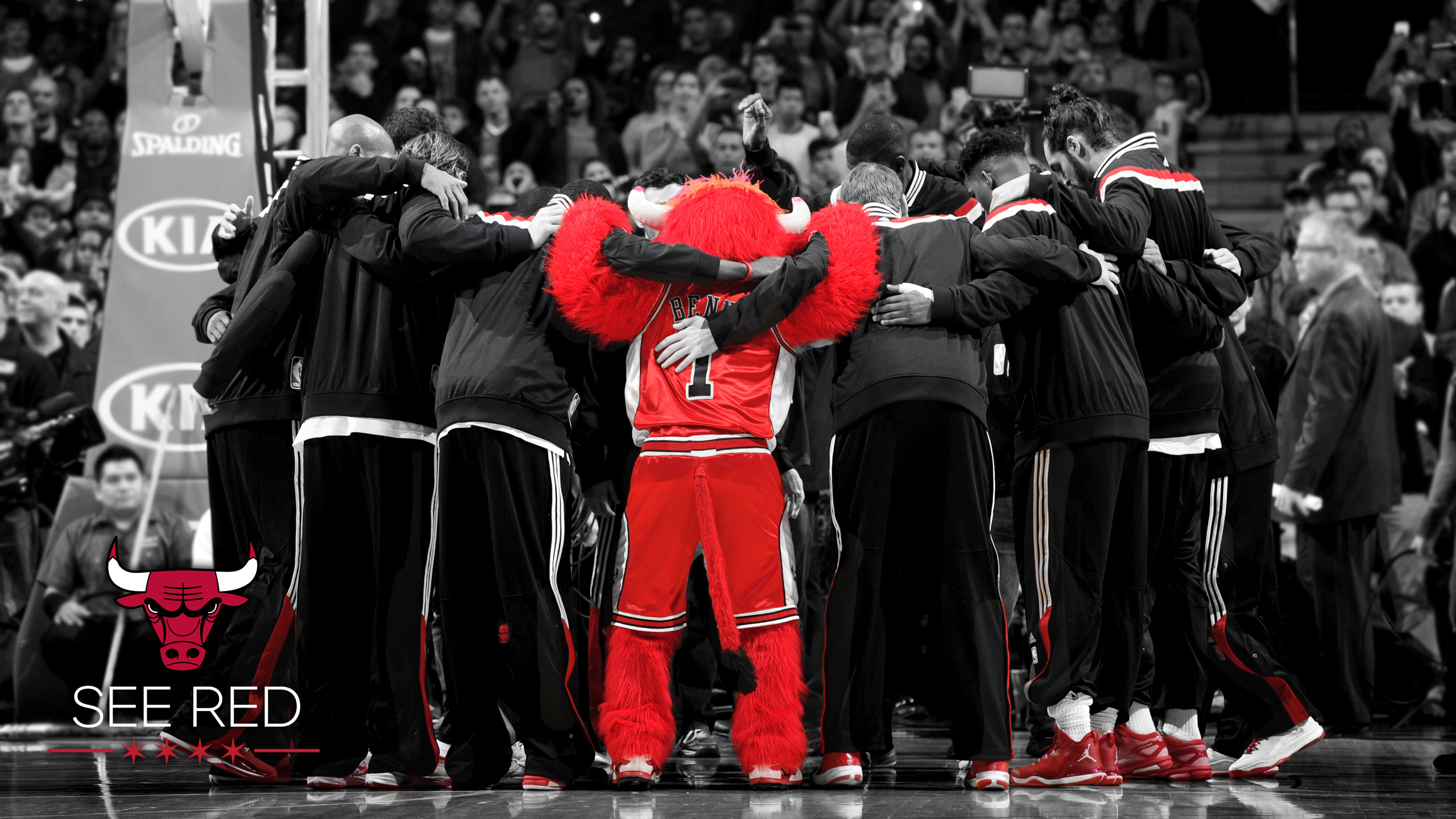 2560x1440 SEE RED - Huddle
