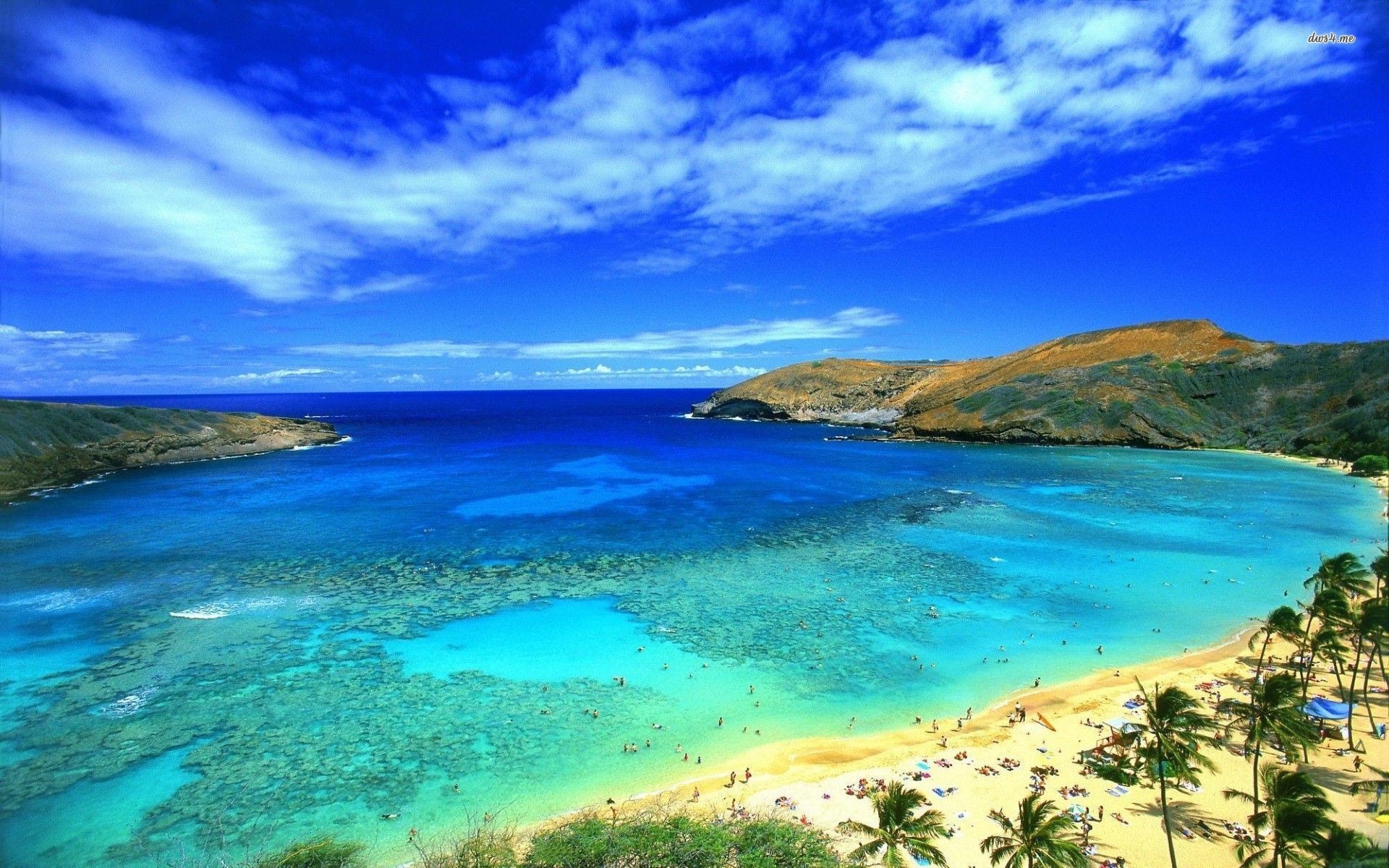1920x1200 Awesome Blue Sky On Hawaii Beach Wallpaper HD Wallpaper