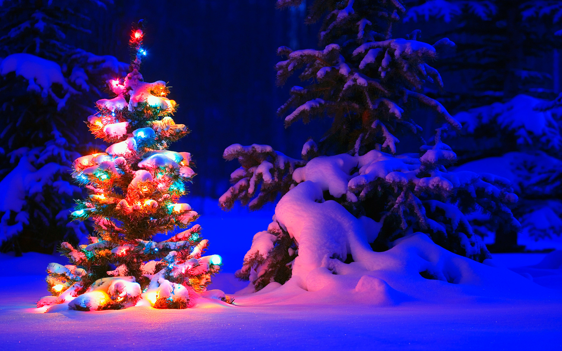 1920x1200 Snowy Christmas Tree Lights