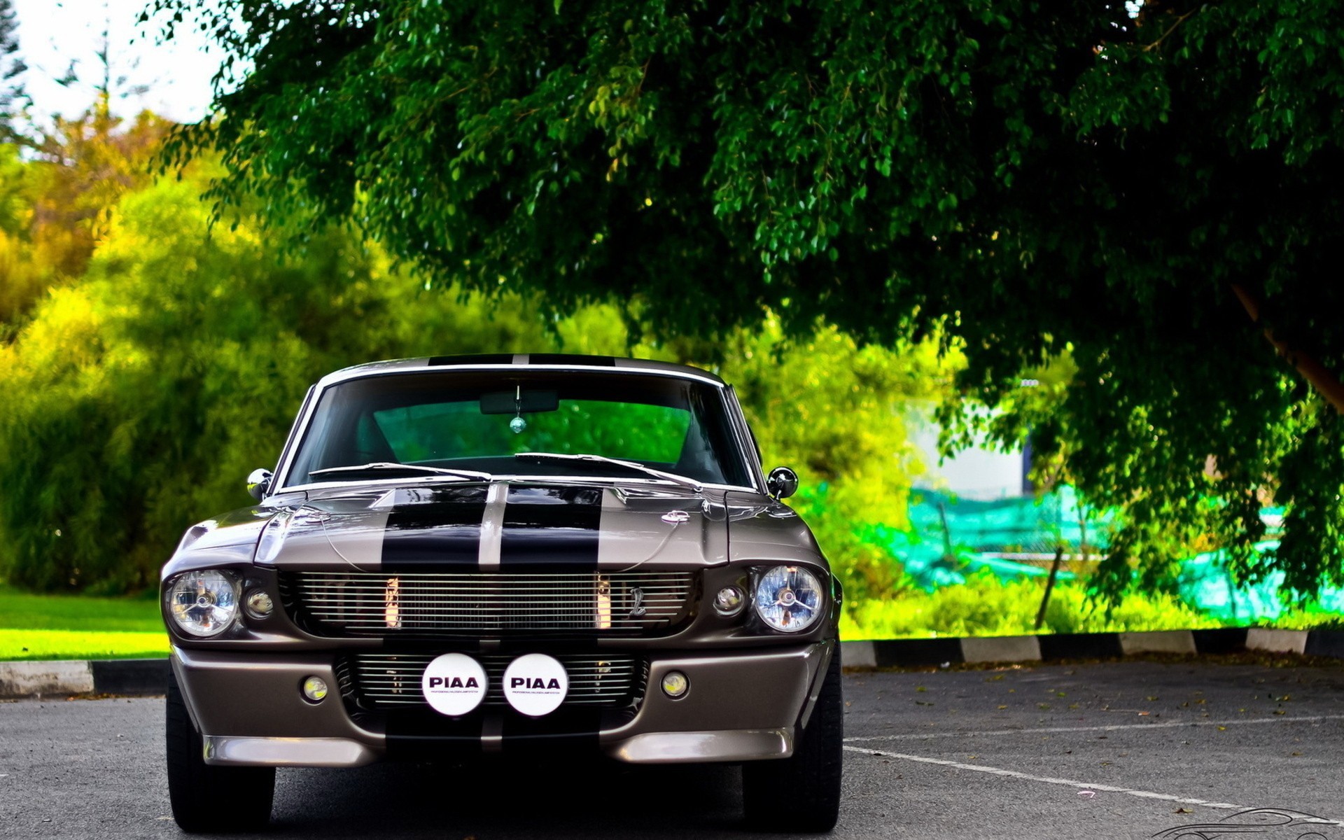 1920x1200 shelby gt500 eleanor car Wallpapers HD / Desktop and Mobile Backgrounds