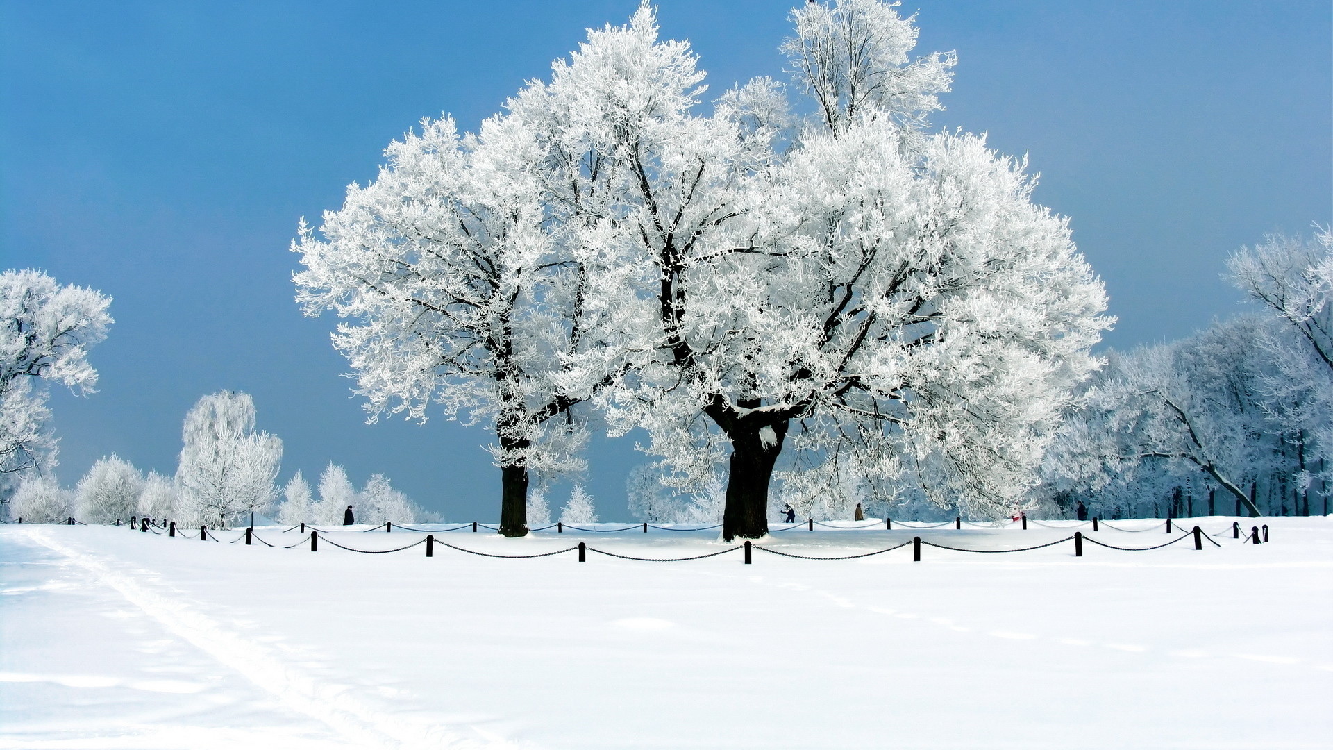 1920x1080 Beautiful Winter Wallpapers HD | 1920 x 1080p Download Premium Quality #HD # winter #