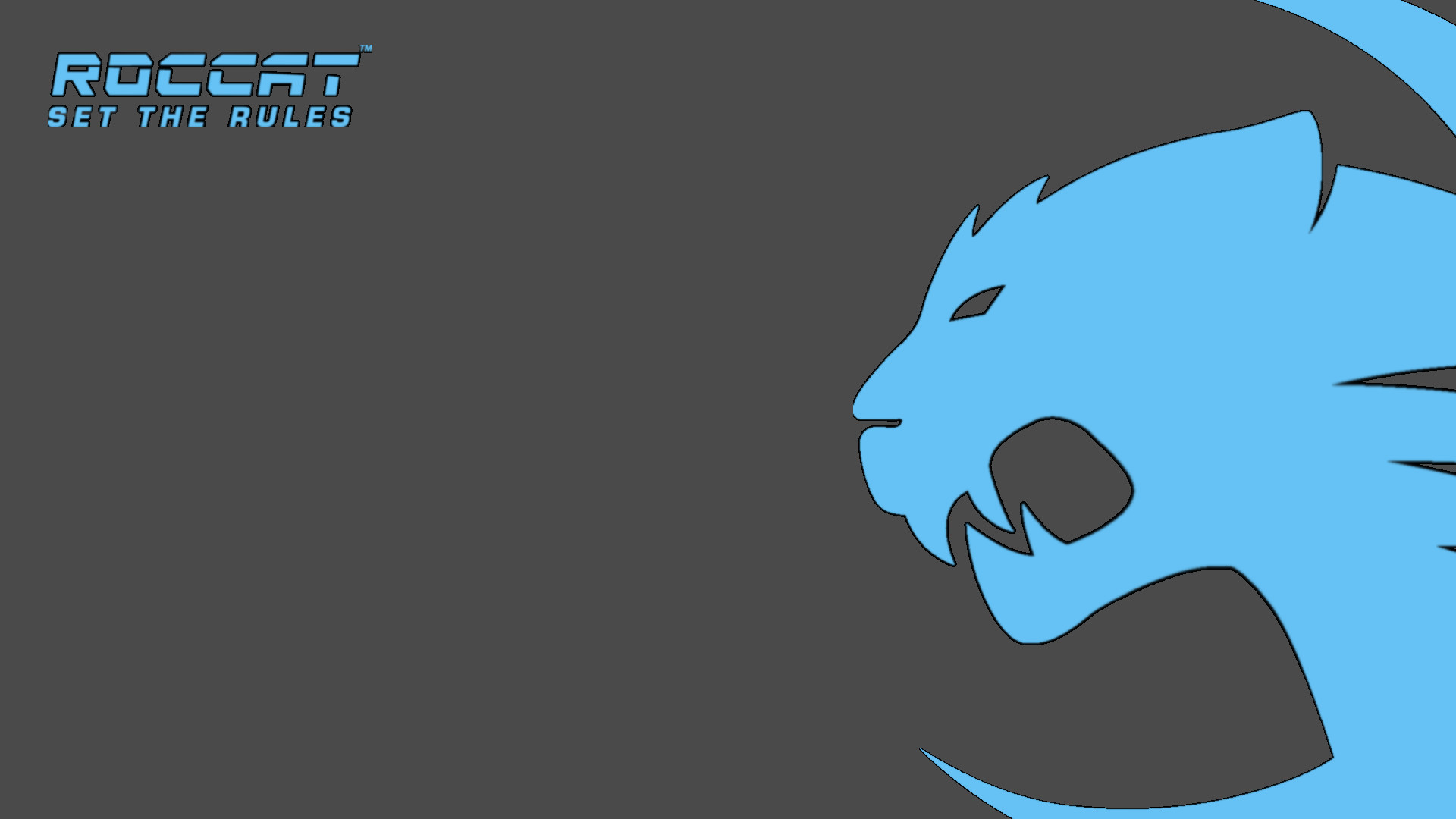 1920x1080 i noticed a lack of a roccat version so i made my own, let me know if you  want it changed slightly ...