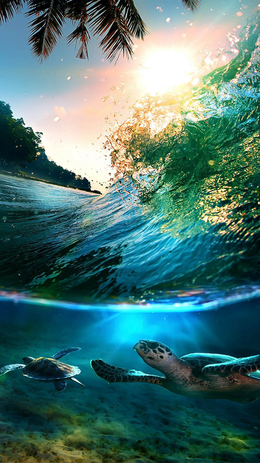 1080x1920 Tropical-Sea-Island-Turtles-iPhone-6-Plus-HD-