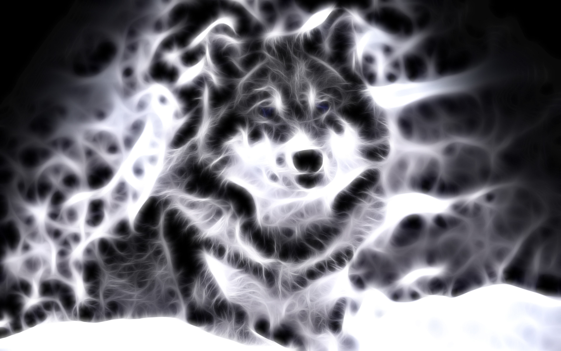 1920x1200 lightanimals | Cool Animal Wallpaper Light Wolf Wallpapers For gt Cool  Animal