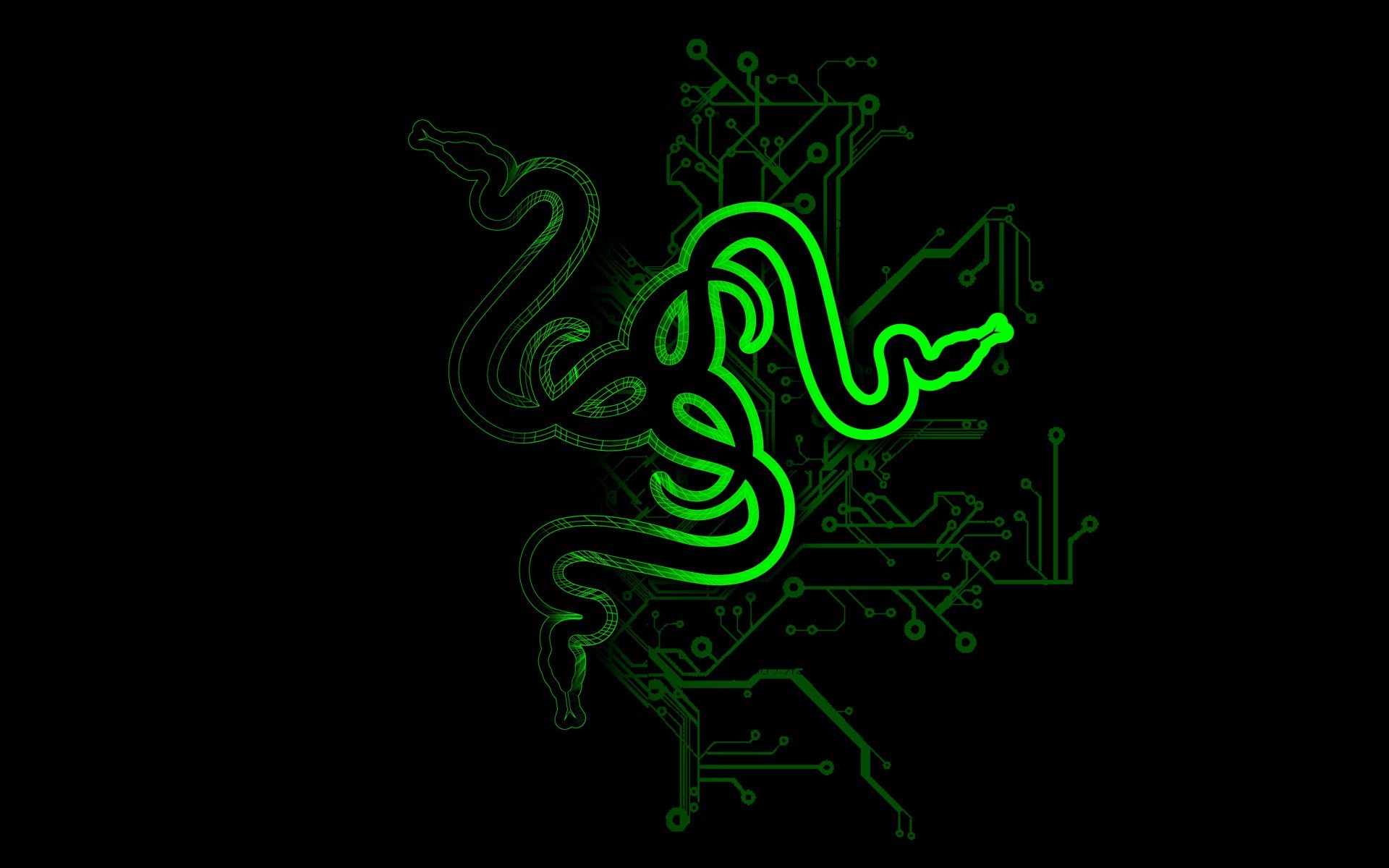 Razer Logo Purple HD 4K Wallpaper #3.3124