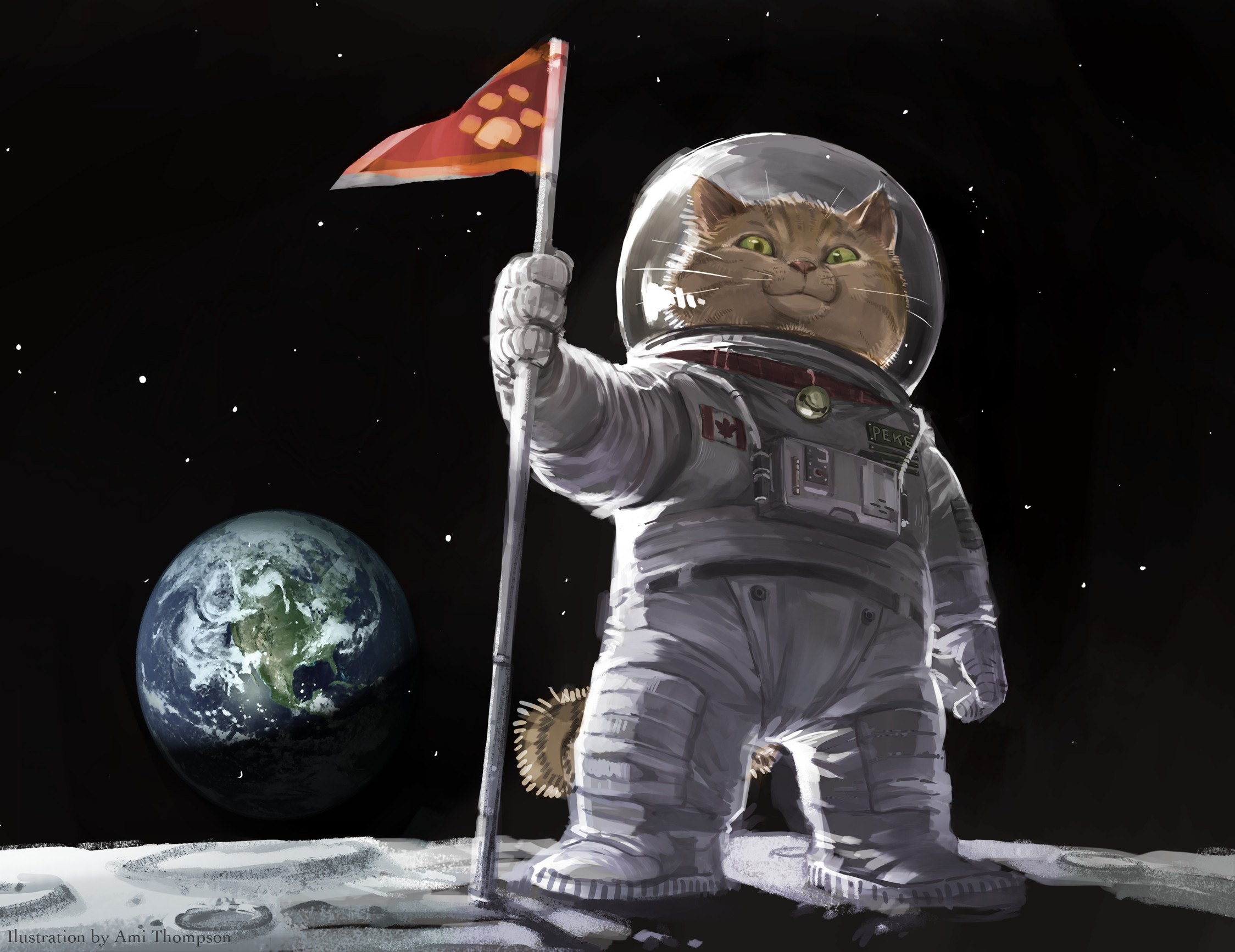 2248x1734 Ami Thompson original cat space planets humor wallpaper  