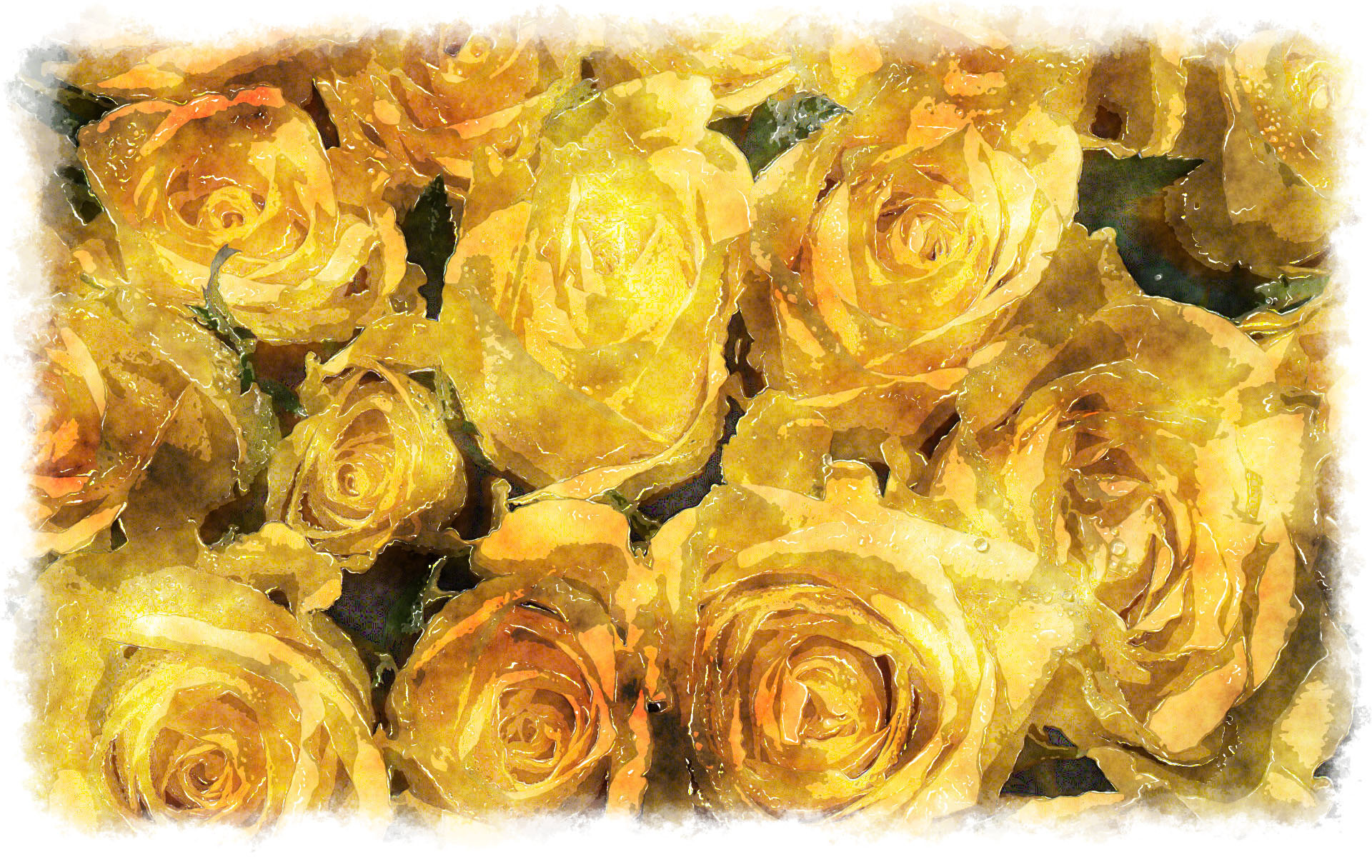 1920x1200 yellow roses bouquet watercolor