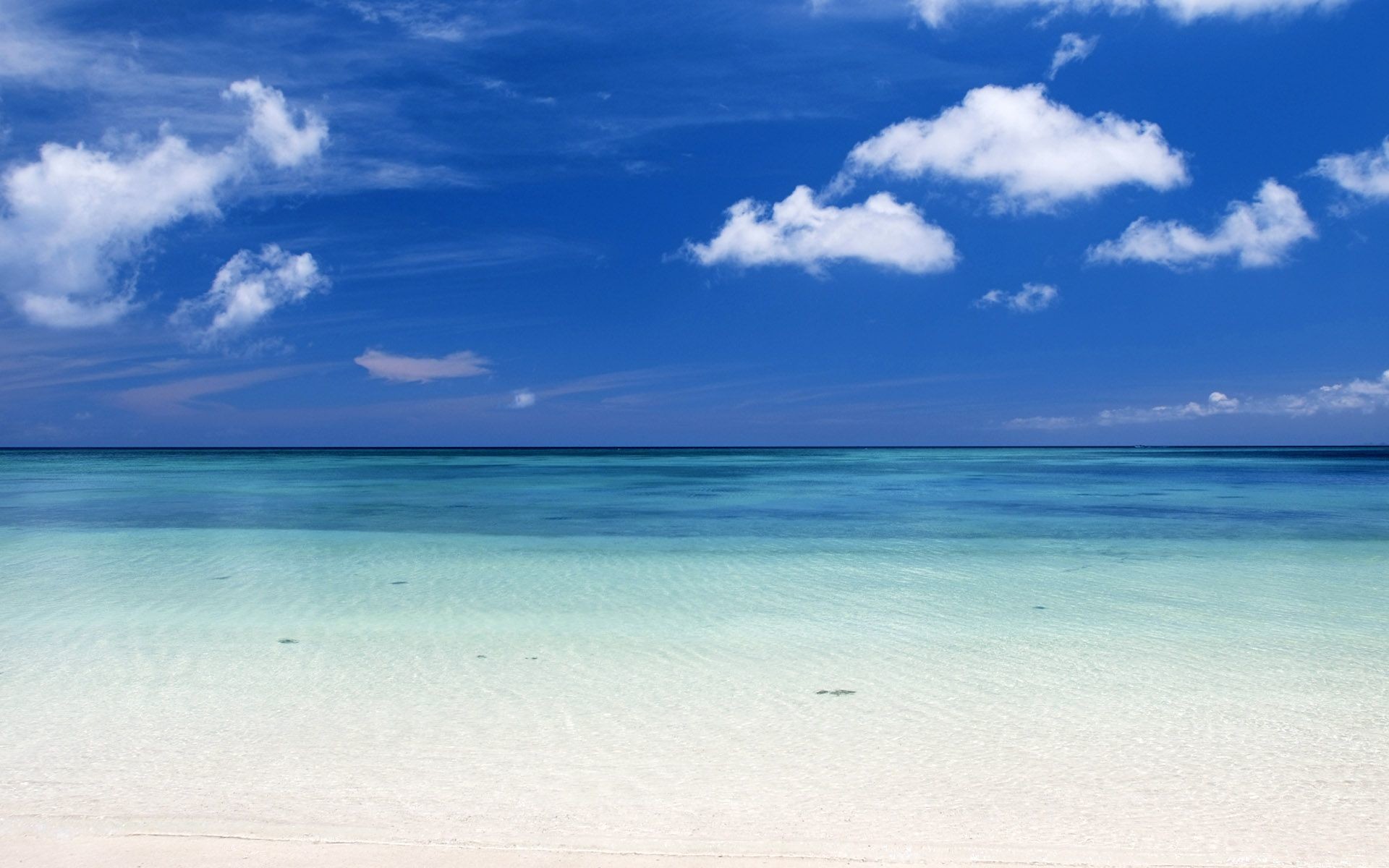1920x1200 Beautiful Caribbean Beach High Resolution | Windows 8 Wallpaper HD