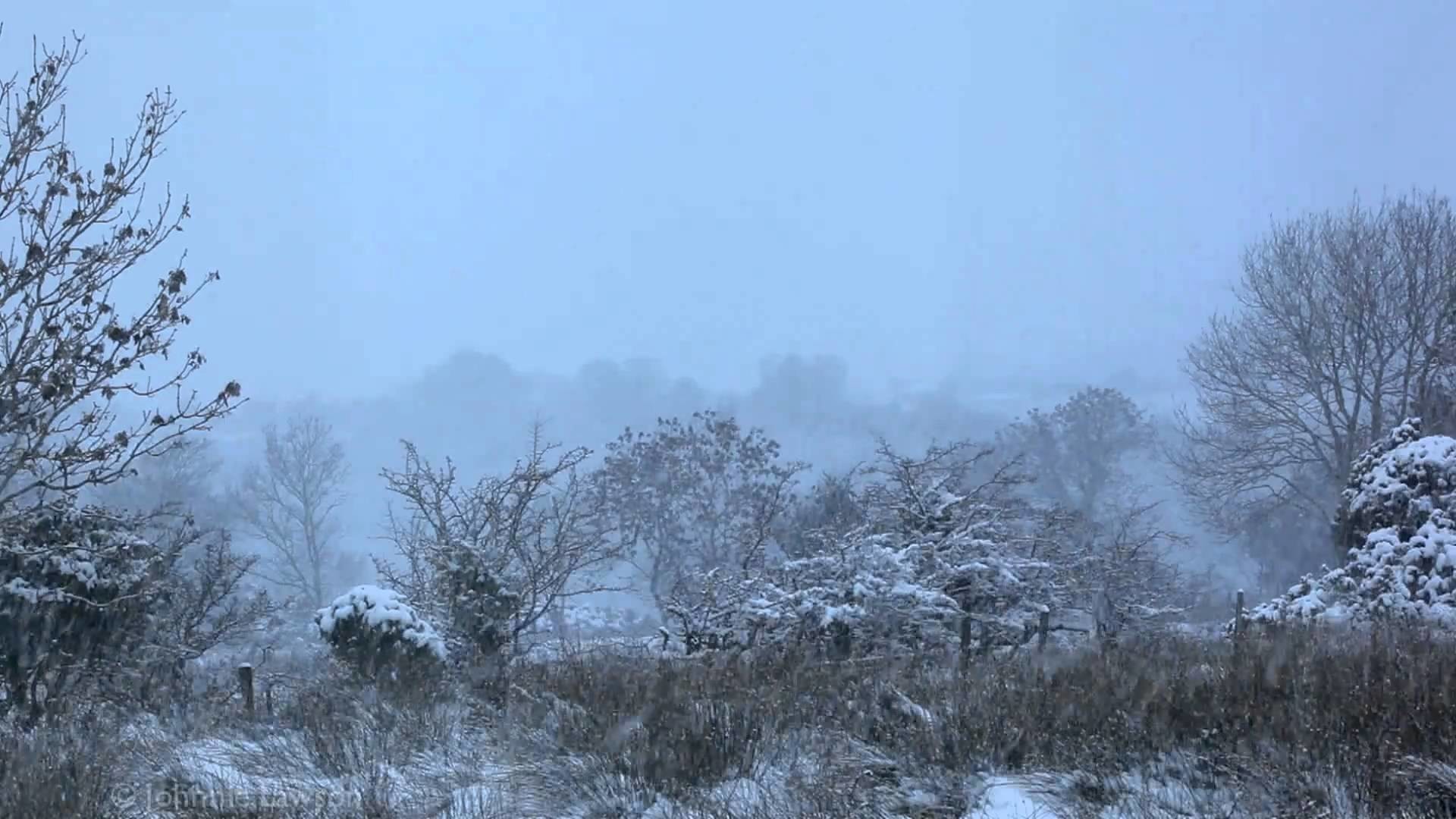 1920x1080 Vivaldi Four Seasons Winter-Gentle Falling Snow-Relax Emotional Classical  Insturmental Music