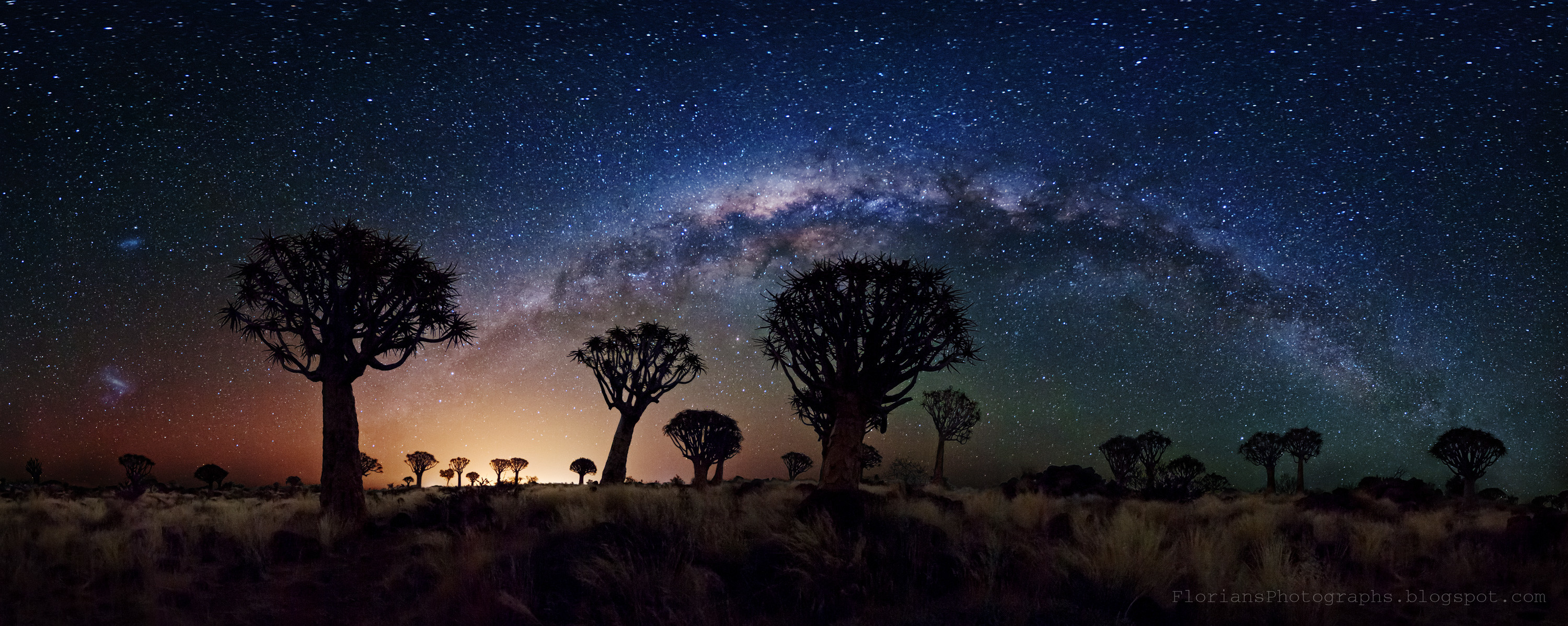 3000x1198 Milky Way over Quiver Trees (widescreen)