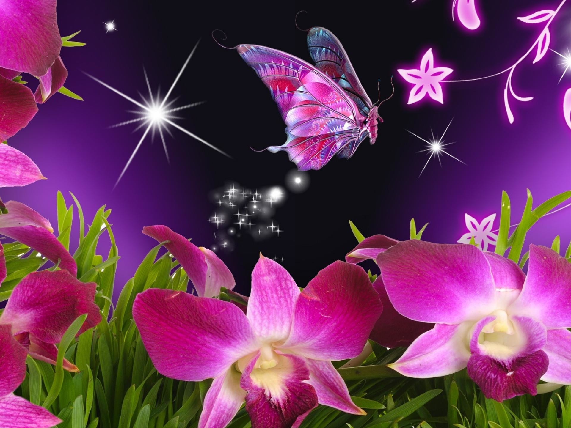 1920x1440  Pink Butterfly Wallpaper Desktop