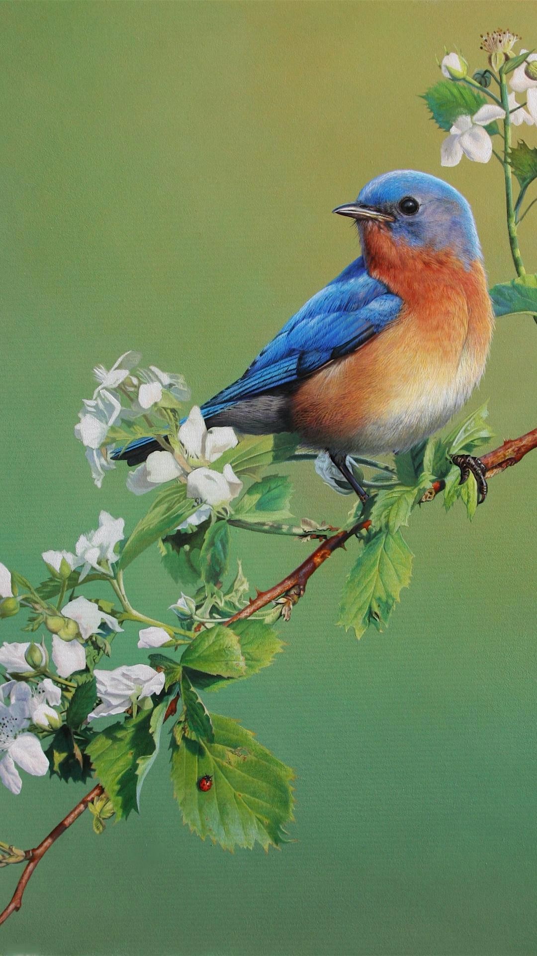 1080x1920 ...  Birds Wallpaper Android HD wallpaper Beautiful Birds 
