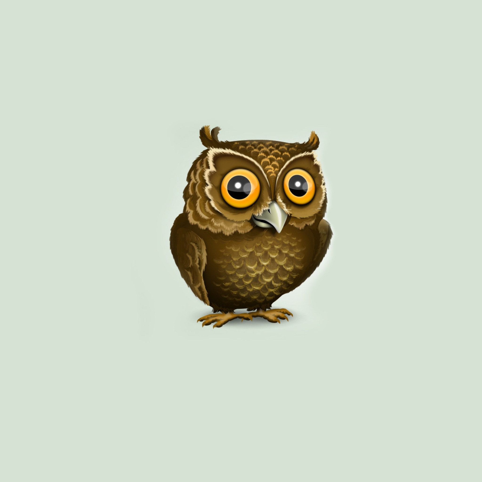 2048x2048 Preview wallpaper owl, art, minimalism, vector 