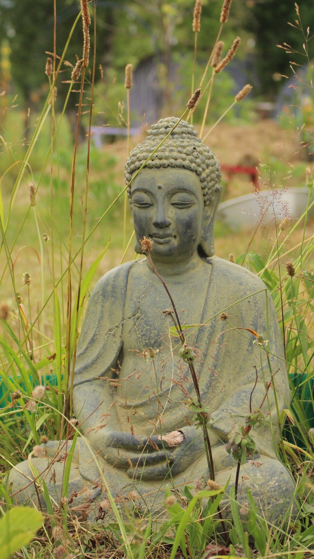 1080x1920  Wallpaper buddha, buddhism, meditation, grass