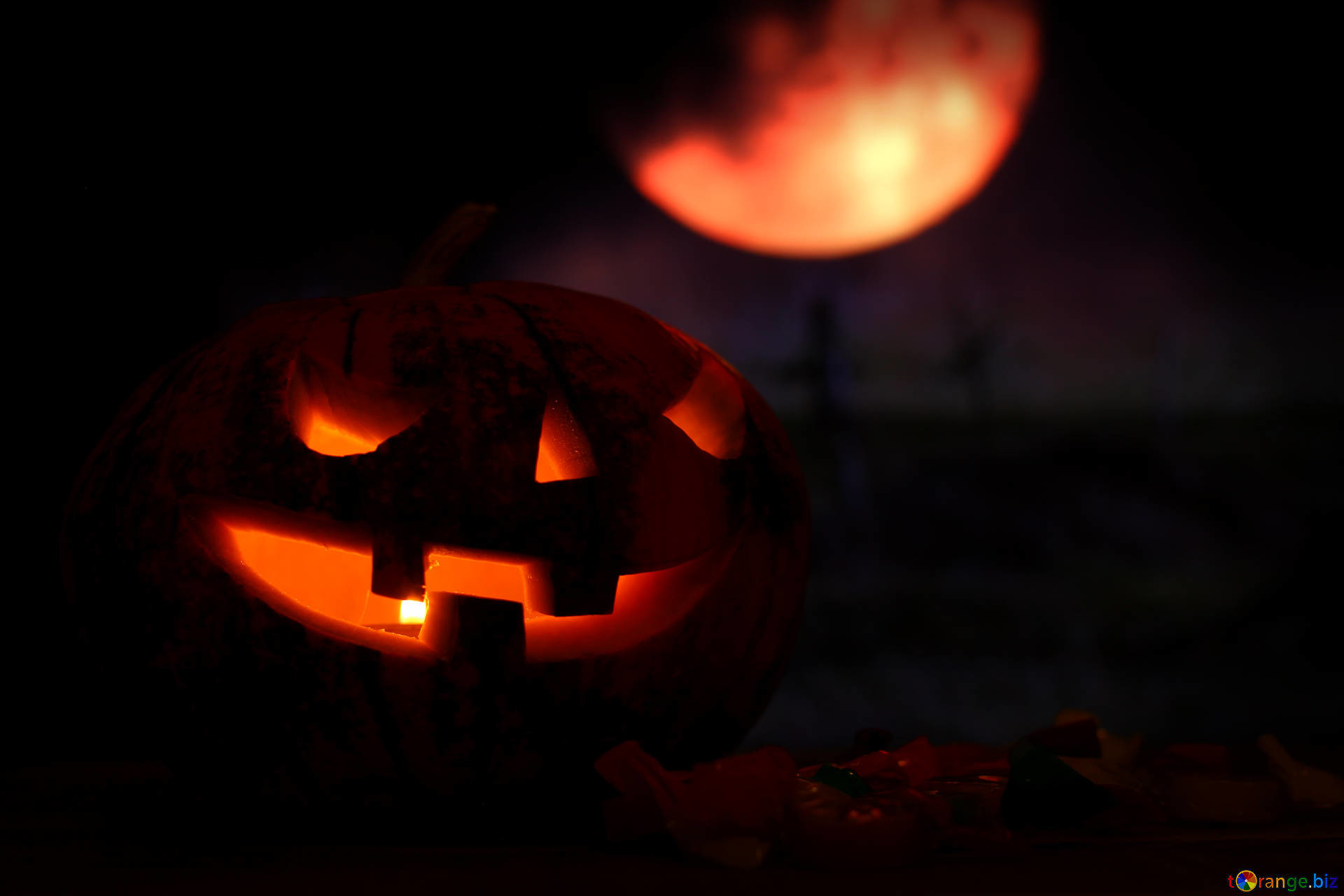 1920x1280 Download free image Halloween pumpkin in the background of the moon in HD  wallpaper size 1920px