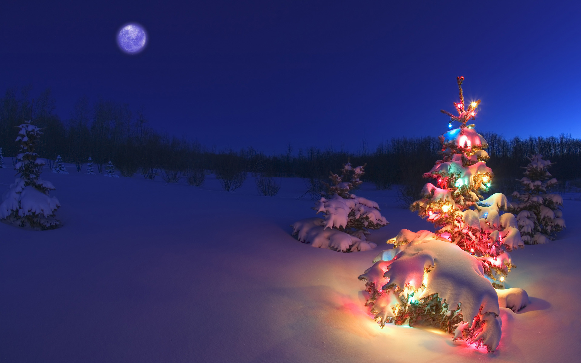 1920x1200 Christmas Tree Glowing At Night In Snow, Alberta, Canada