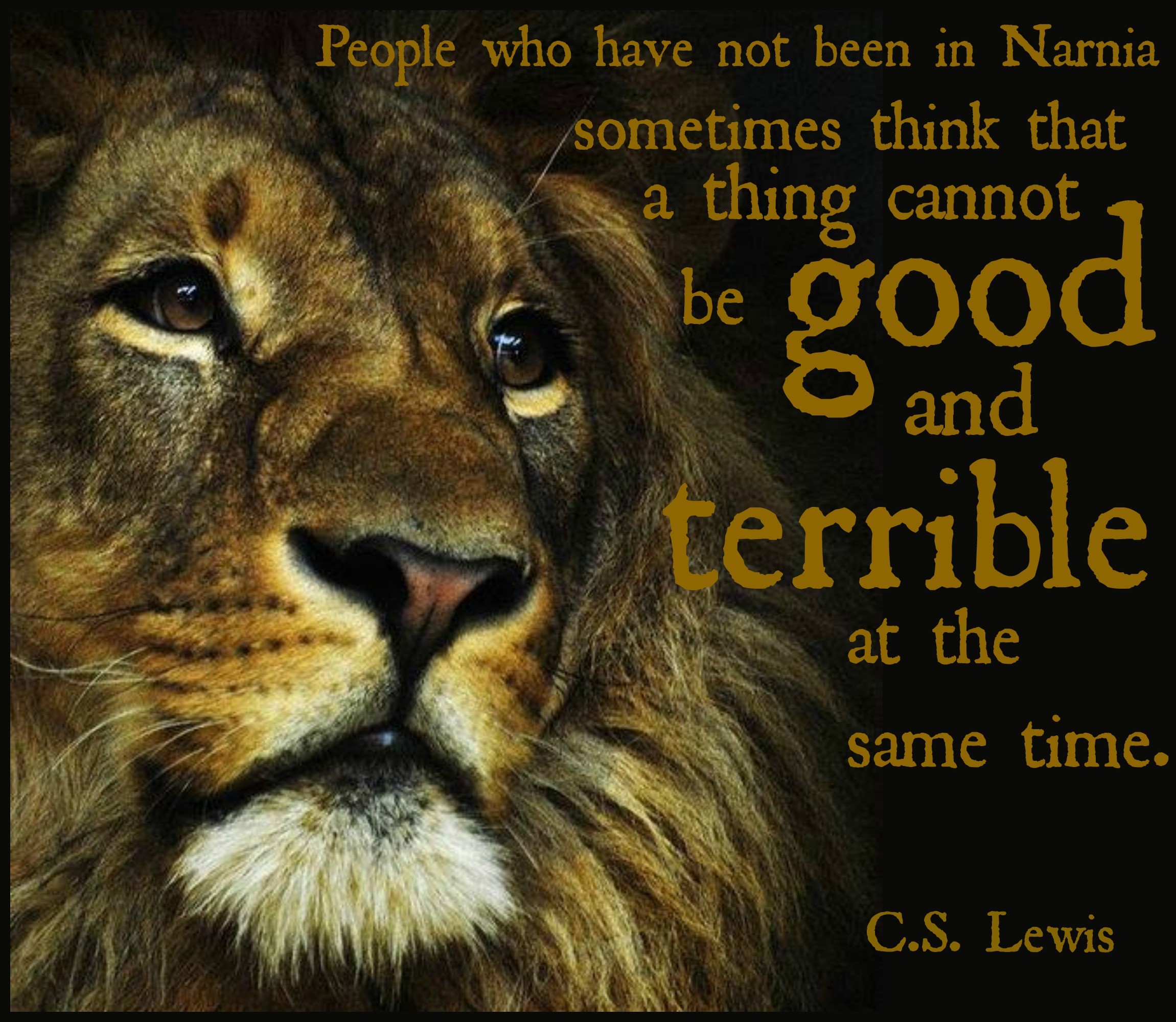 Comments on Narnia Aslan - Movies Wallpaper ID 58436 - Desktop