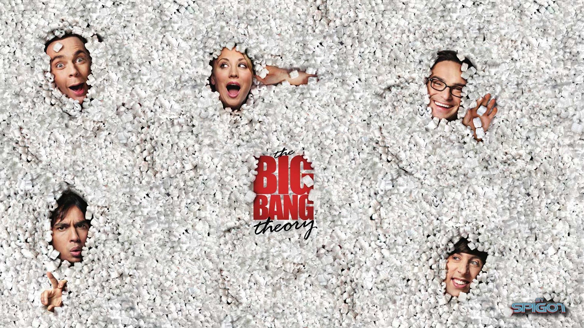 1920x1080 The Big Bang Theory Wallpaper