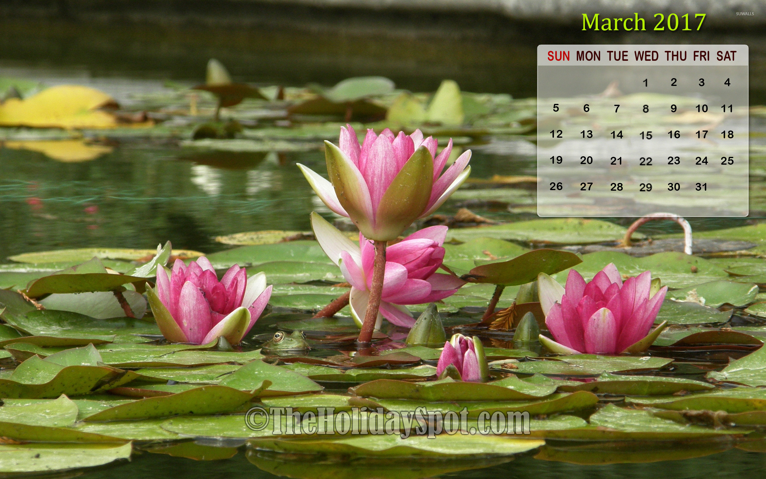 2560x1600 March 2017 Calendar Wallpaper with Lotus