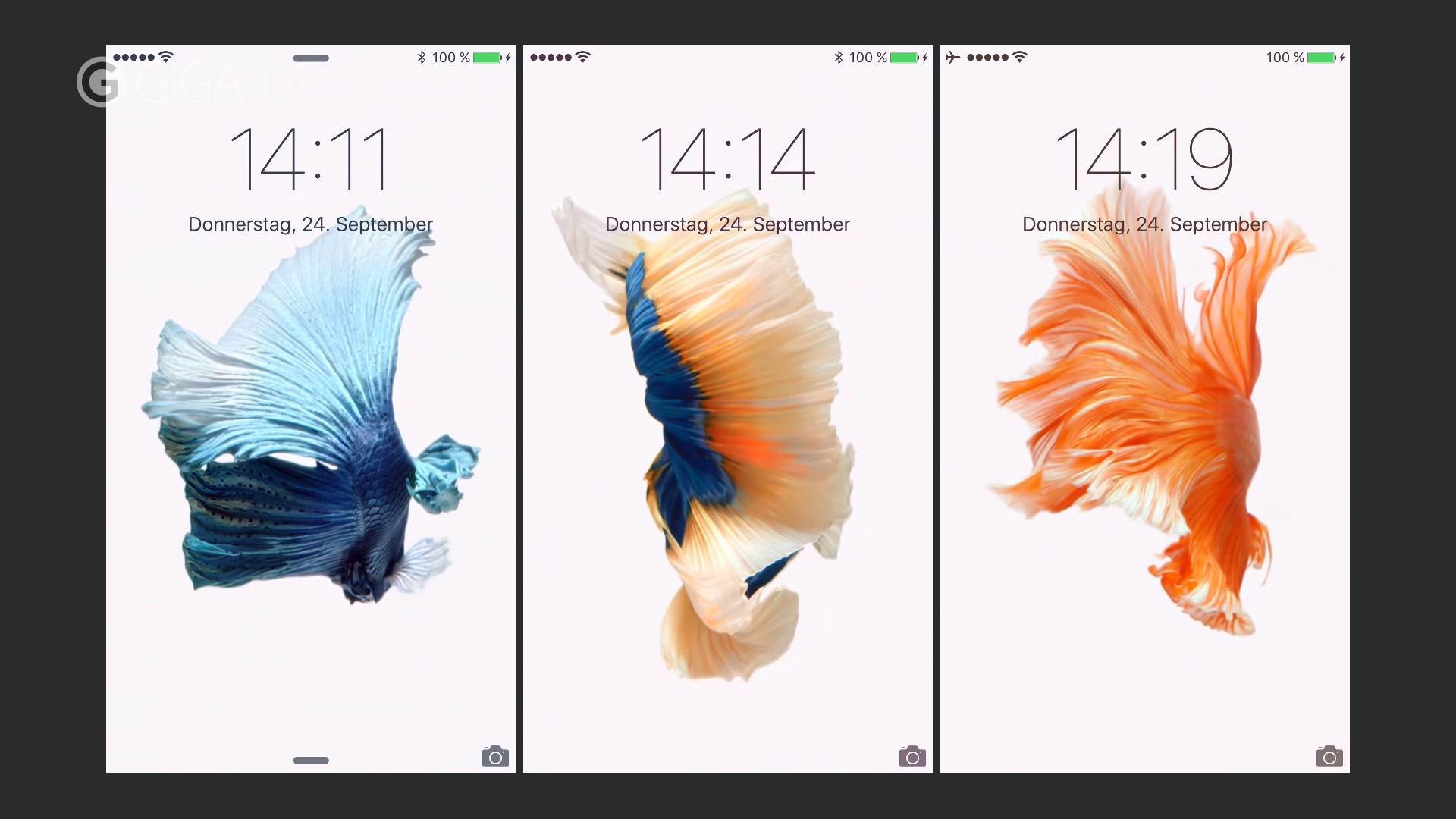 1920x1080 iPhone 6s – 3D Touch Dynamic Wallpapers - GIGA.DE