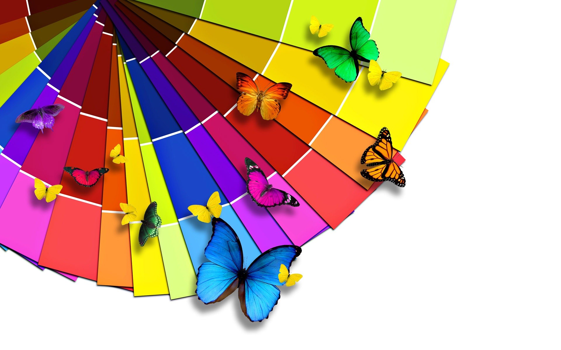 1920x1200 bright and colorful | Bright color palette and the Butterfly Wallpaper |   wallpaper .