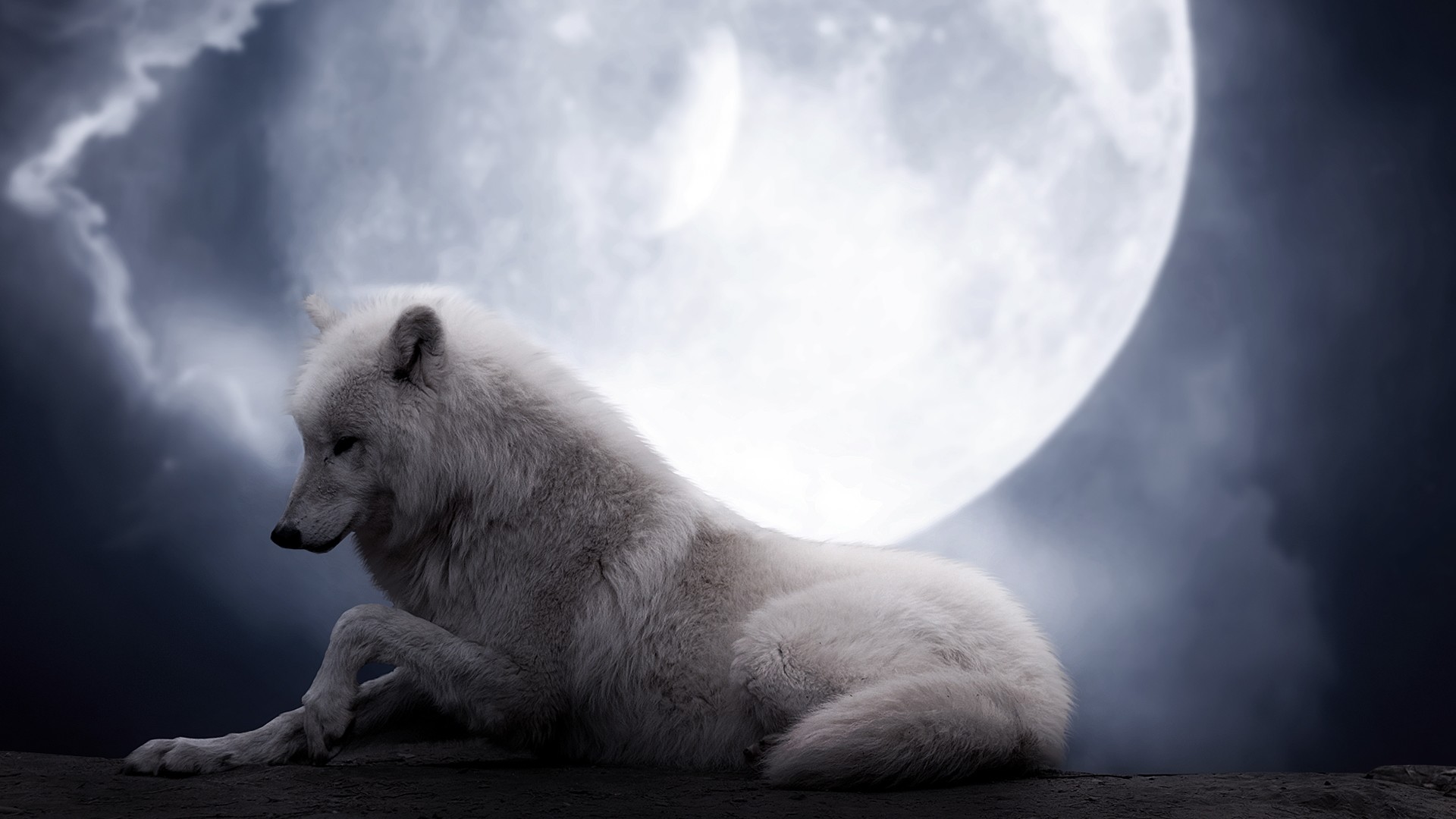 1920x1080 Preview wallpaper wolf, moon, lie, predator 