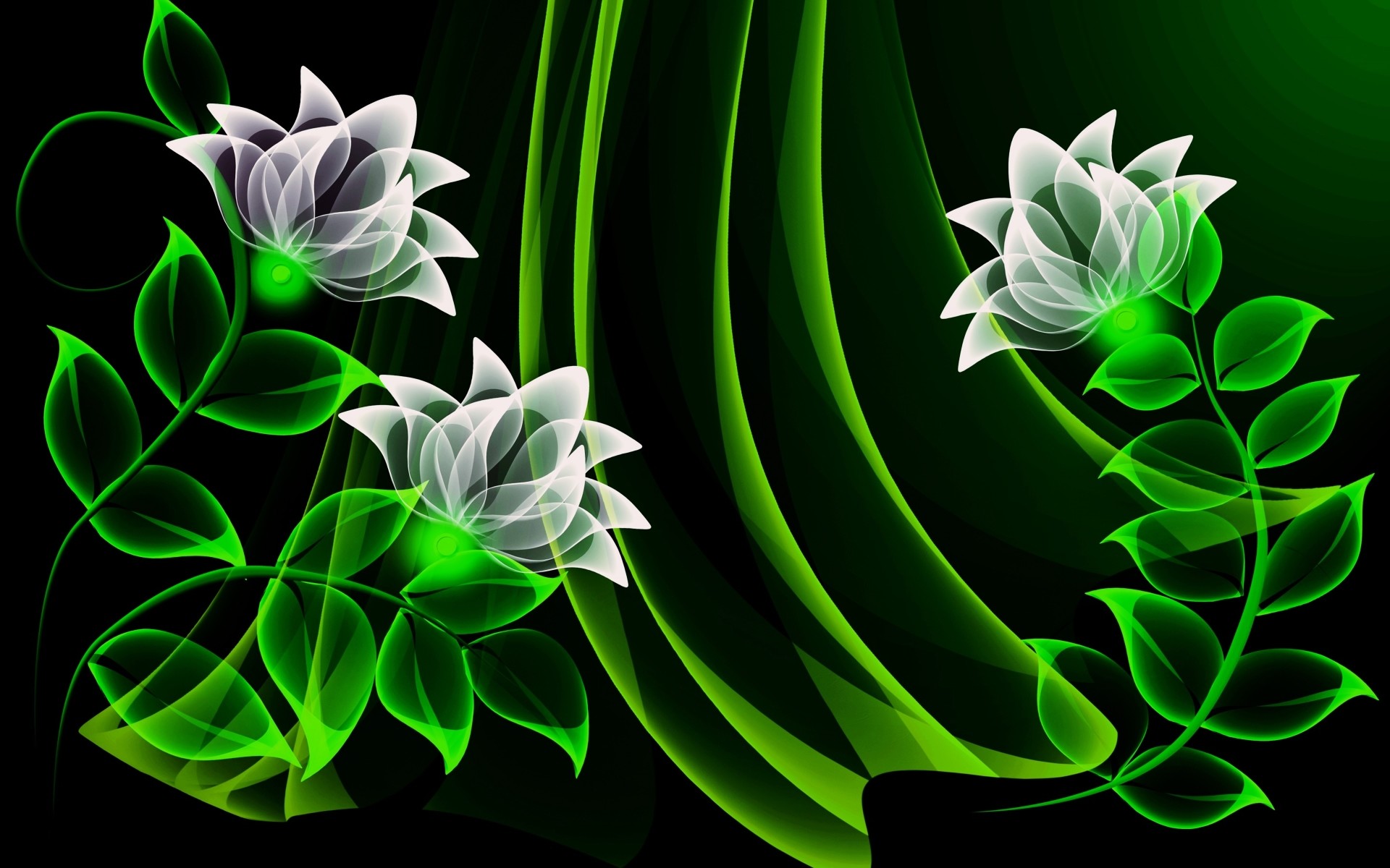 1920x1200 White Flowers & Green Leaves wallpapers and stock photos