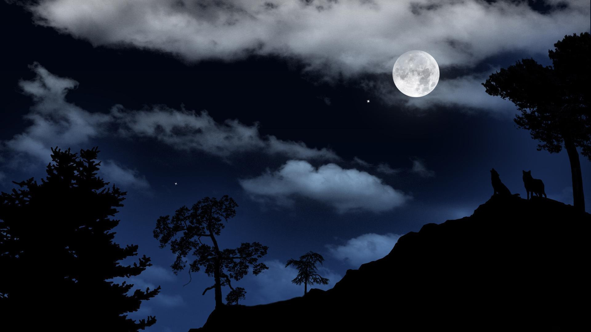 1920x1080 35 New Black and White Moon Wallpaper