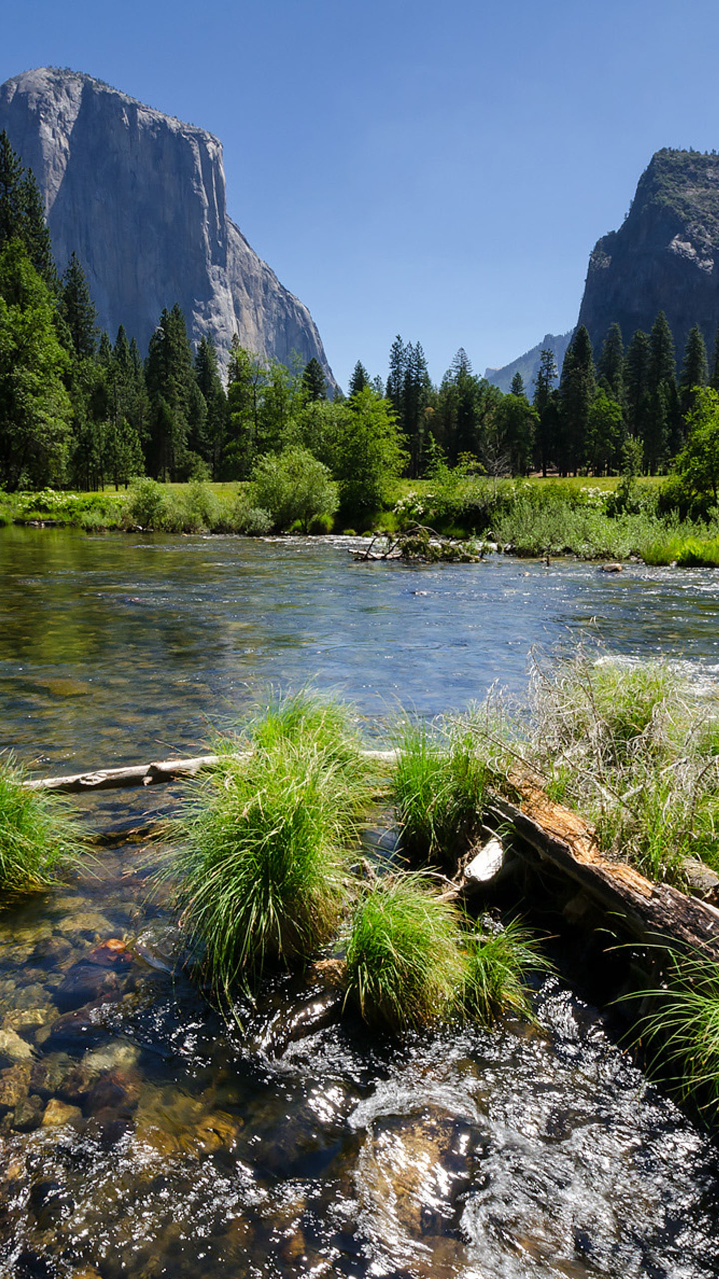 1440x2560 Yosemite National Park Galaxy S7 Wallpaper