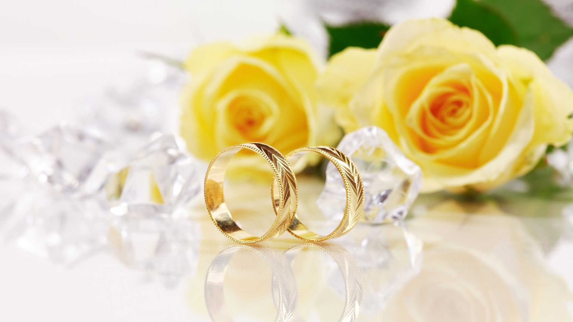 Wedding rings Free Stock Photos, Images, and Pictures of Wedding rings