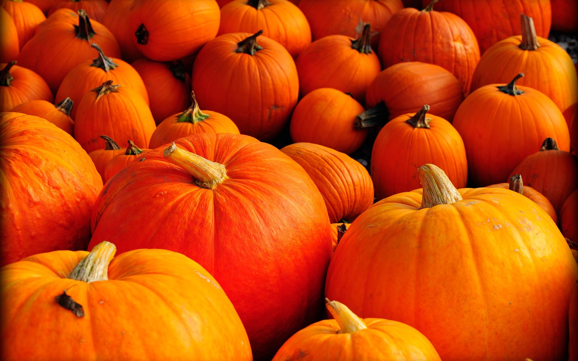 1920x1200 Pumpkin And Autumn Leaves HD desktop wallpaper : High Definition .